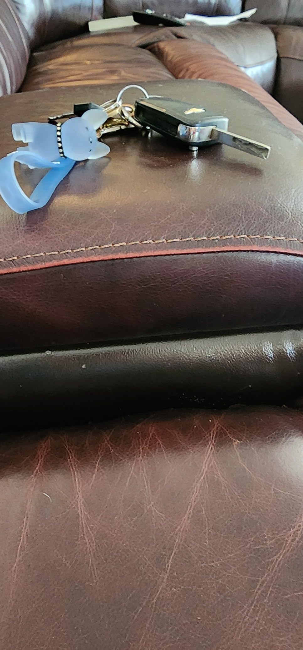 Adorable French Bulldog Keychain - Cute & Durable Frenchie Bulldog Charm - Ideal for Dog Lovers & Pet Owners - Customer Photo 1