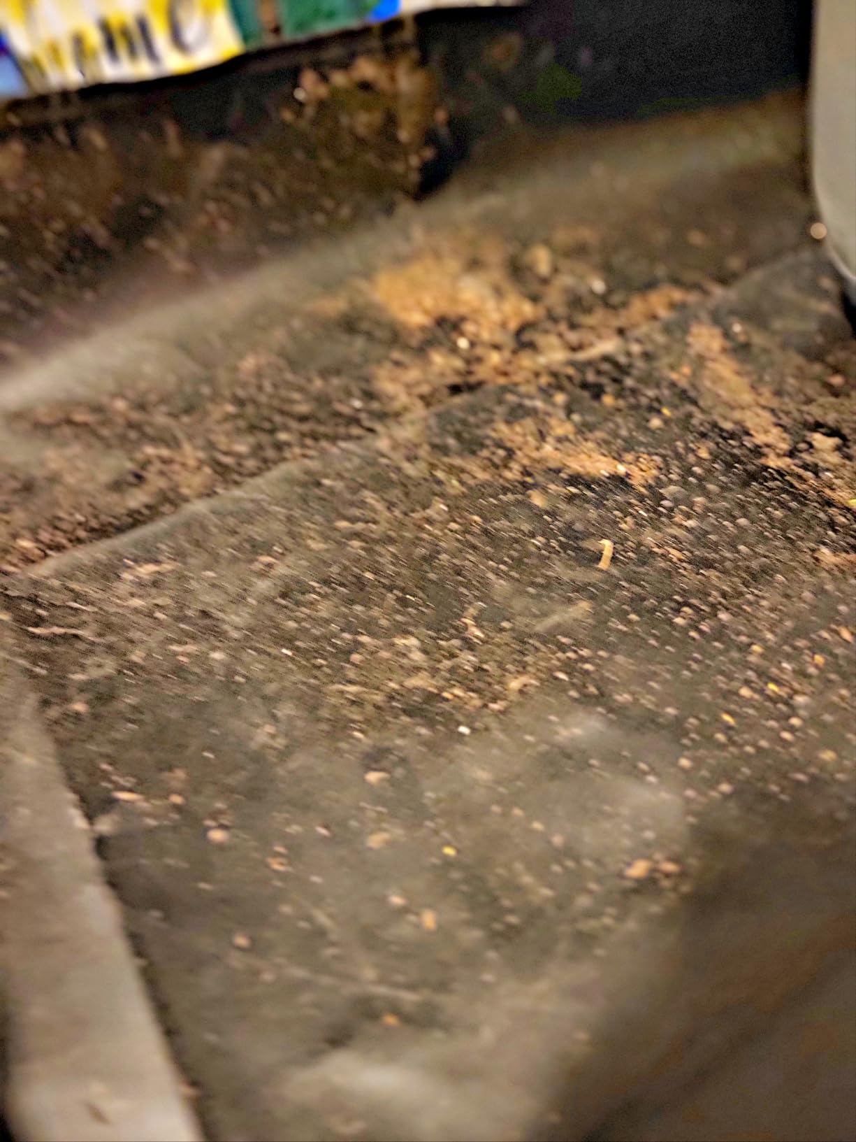 Repotting Mat for Plant Transplanting and Mess Control 29.5