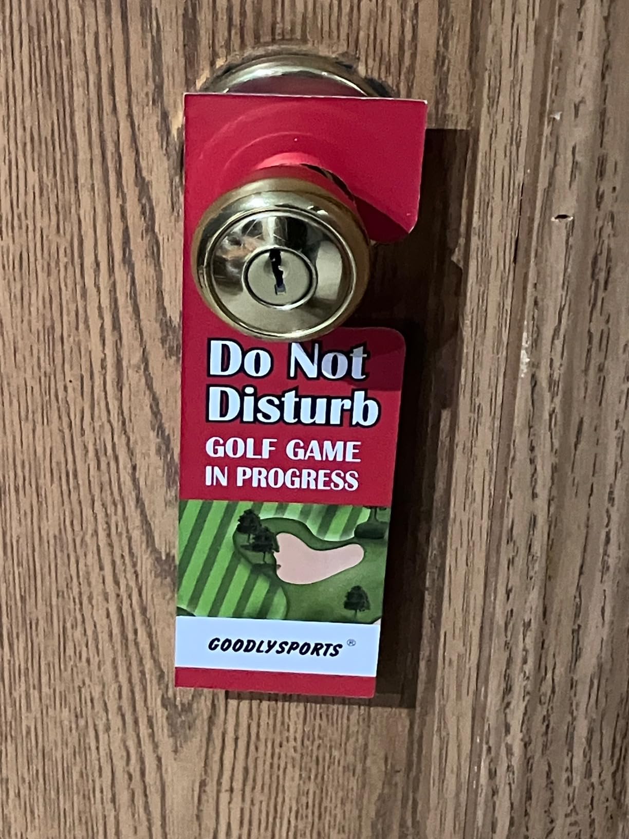 Toilet Golf Game, Practice Mini Golf in Any Bathroom, Great Toilet Time, Funny White Elephant Gifts for Adults, Gag Gifts for Men, Dad, Husband, Boyfriend, Him - Customer Photo 3