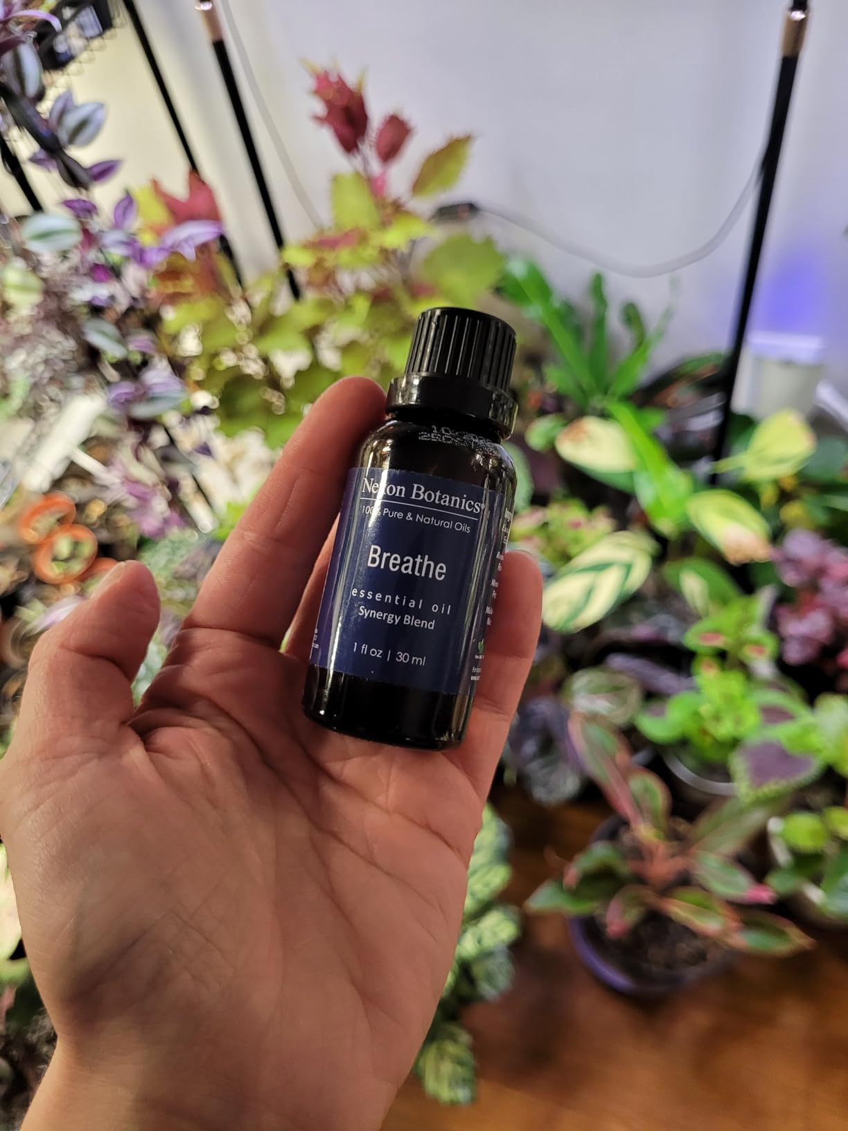 Stress Relief Essential Oil Roll-On 10 ml - Natural Stress Relief Blend with Lavender, Geranium & Frankincense Oils - Prediluted Roller for Calming Aromatherapy - Nexon Botanics - Customer Photo 1