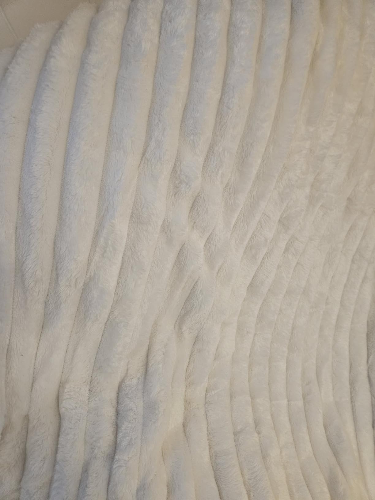 Bedsure GentleSoft White Throw Blanket for Couch - Cozy Blanket for Women, Cute Fleece Throw for Girls, Christmas Birthday Gifts for Women Men Teen, Room Home Boho Decor, Off White, 50x60 Inches - Customer Photo 2