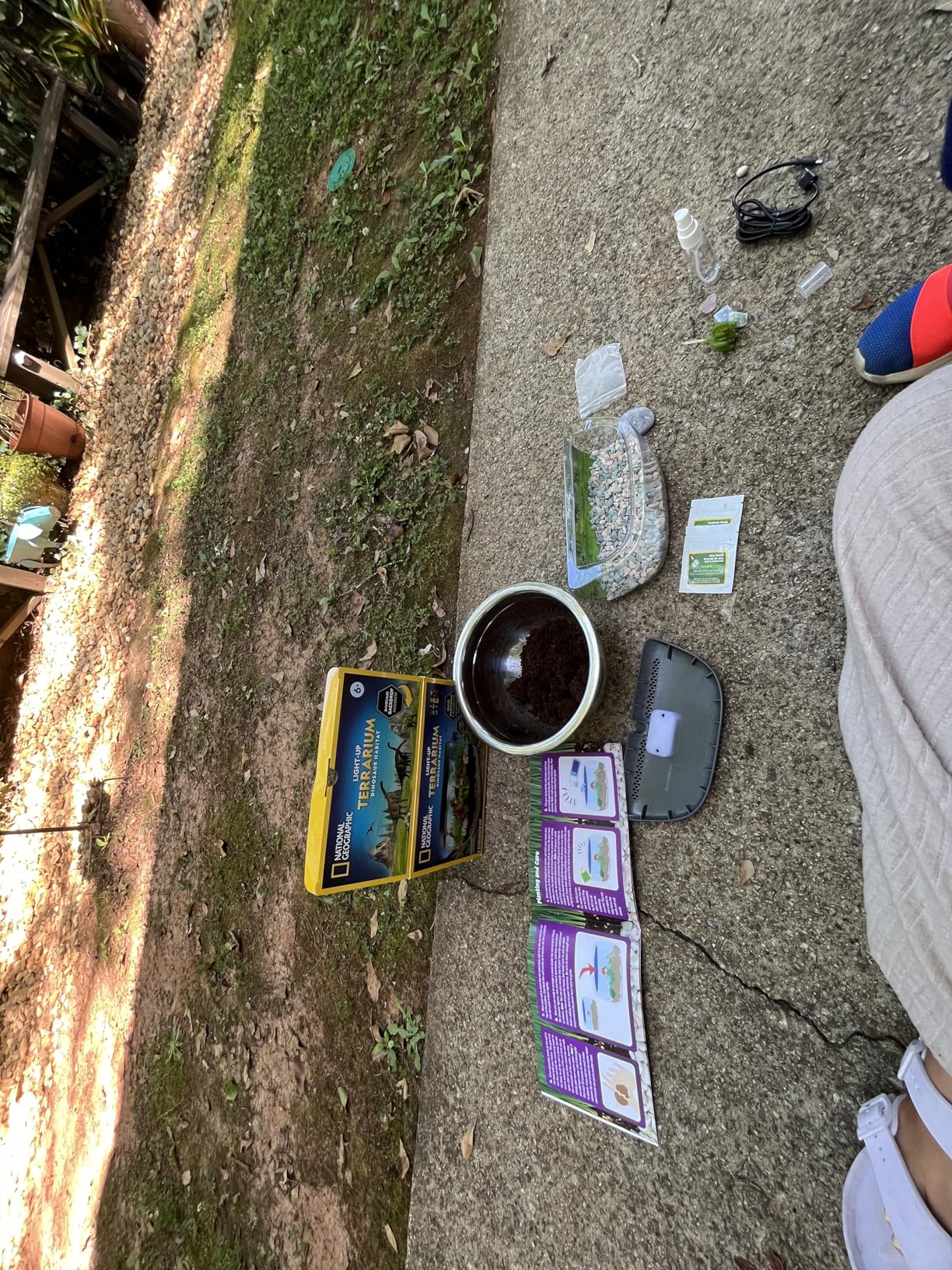 National Geographic Light Up Terrarium Kit for Kids - Build a Dinosaur Habitat with Real Plants & Gemstones, Science Kit, Dinosaur Toys for Kids (Amazon Exclusive) - Customer Photo 0