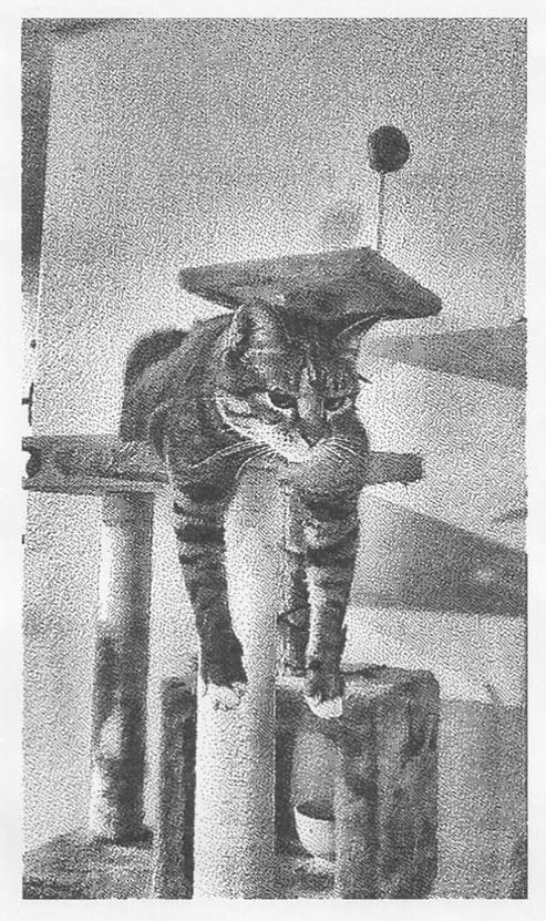 Instant Print Camera for Kids, Christmas Birthday Gifts for Girls Boys Age 3-12,Kids Digital Cameras for Toddler, Portable Toy for 3 4 5 6 7 8 9 10 Year Old Girl with 32GB SD Card-Purple - Customer Photo 2