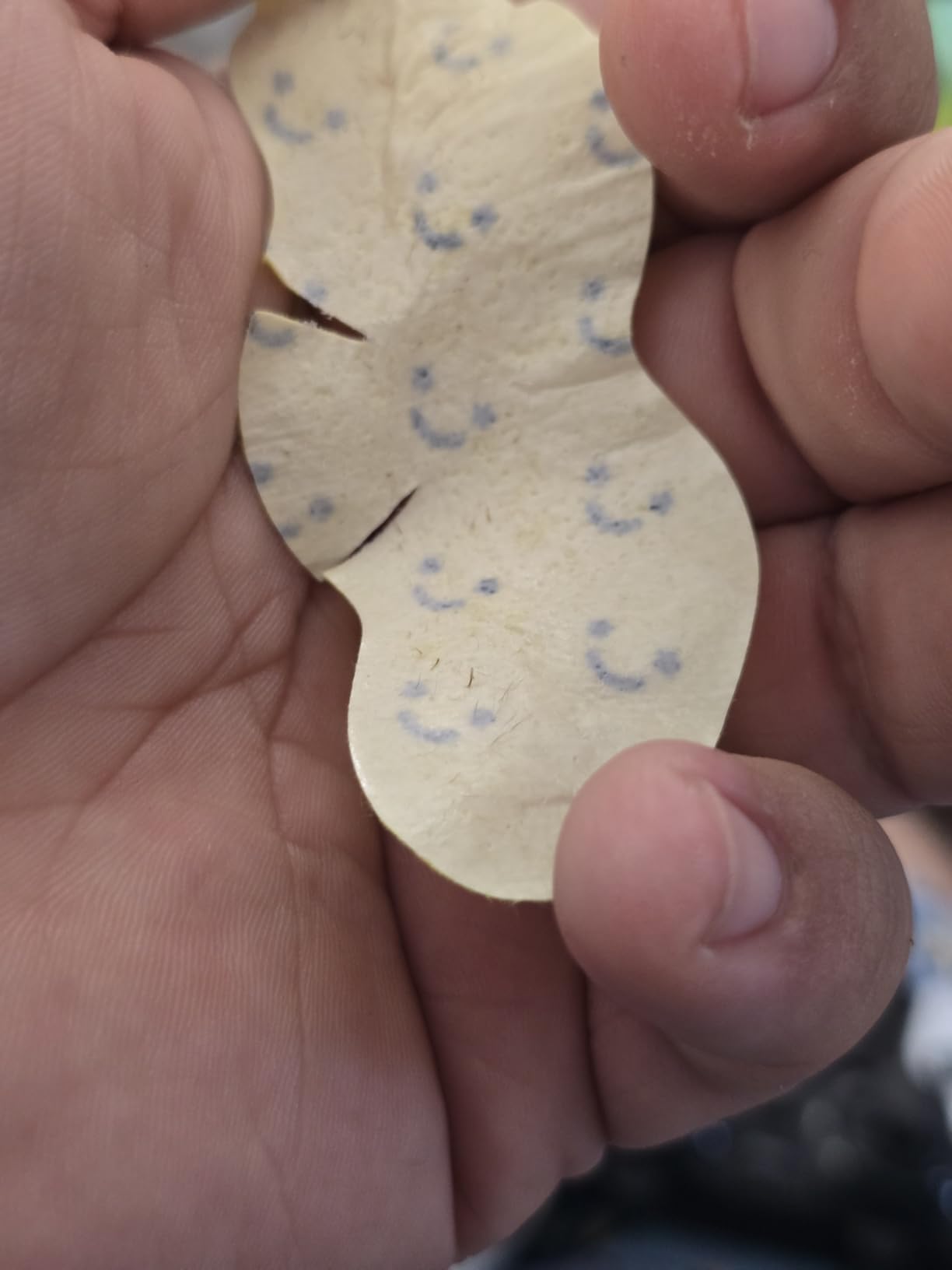 Starface World Lift Off Pore Strips, Blackhead Remover, Deep Cleansing Nose Strip, Patches for Pores (8 count) - Customer Photo 2