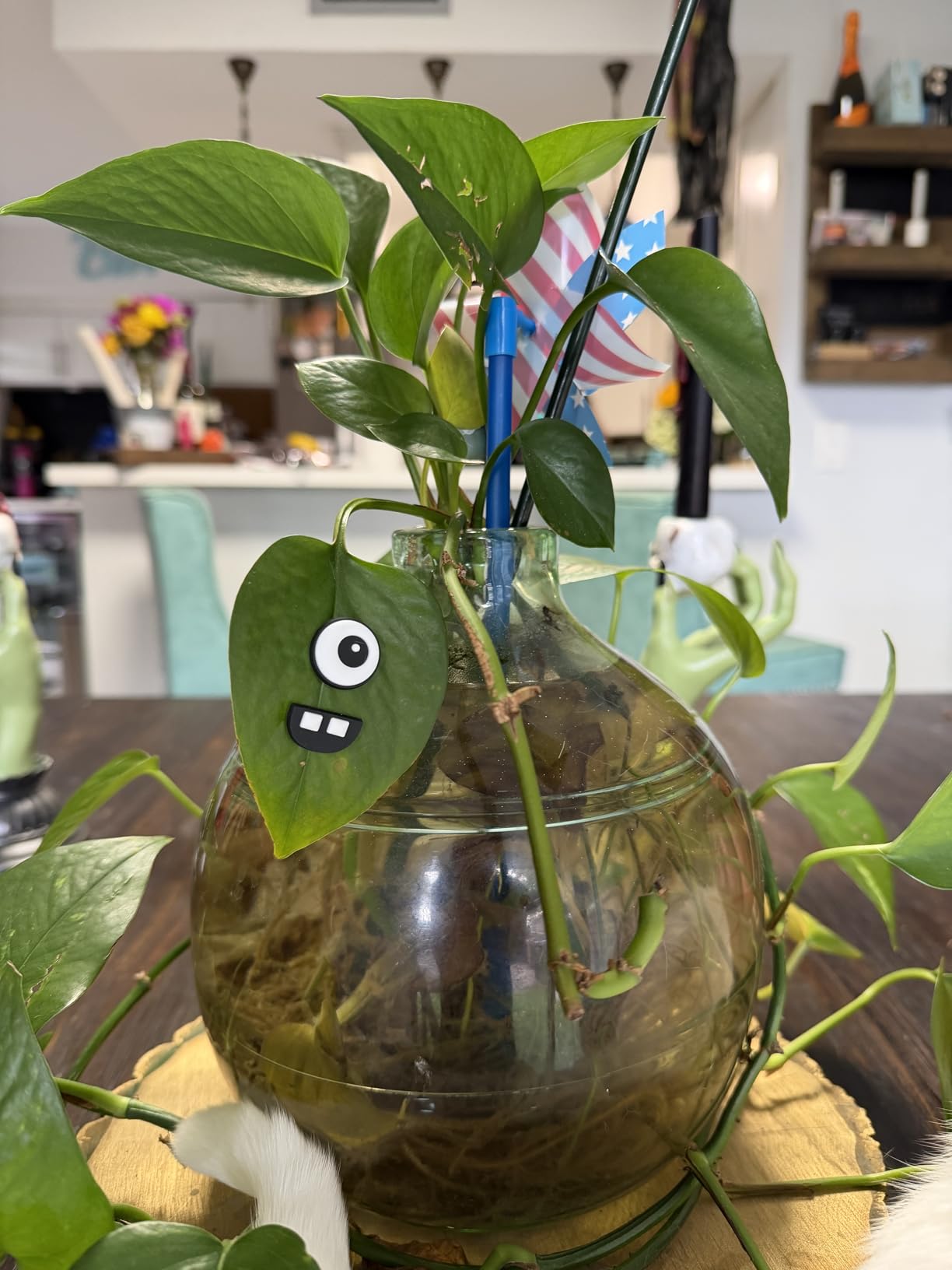 Monster Plant Magnets Eyes for Potted Plants, Funny Plant Safe Magnet Pins Charms, House Plant Accessories, Christmas Decorations Gift for Plant Lovers - Customer Photo 2