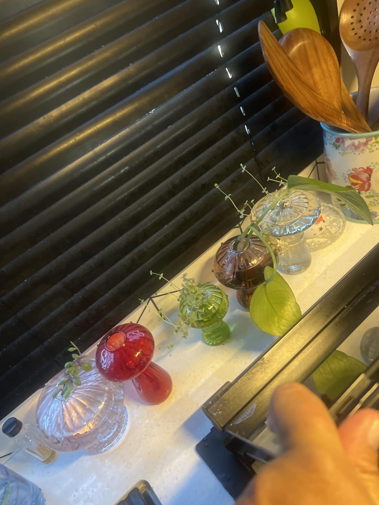 Glasseam Mushroom Glass Planter, Set of 5 Colored Plant Propagation Station, Mini Terrarium for Plants, Unique Small Glass Vase for Flowers, Cute Hydroponic Indoor Planters Gifts for Women Room Decor - Customer Photo 2