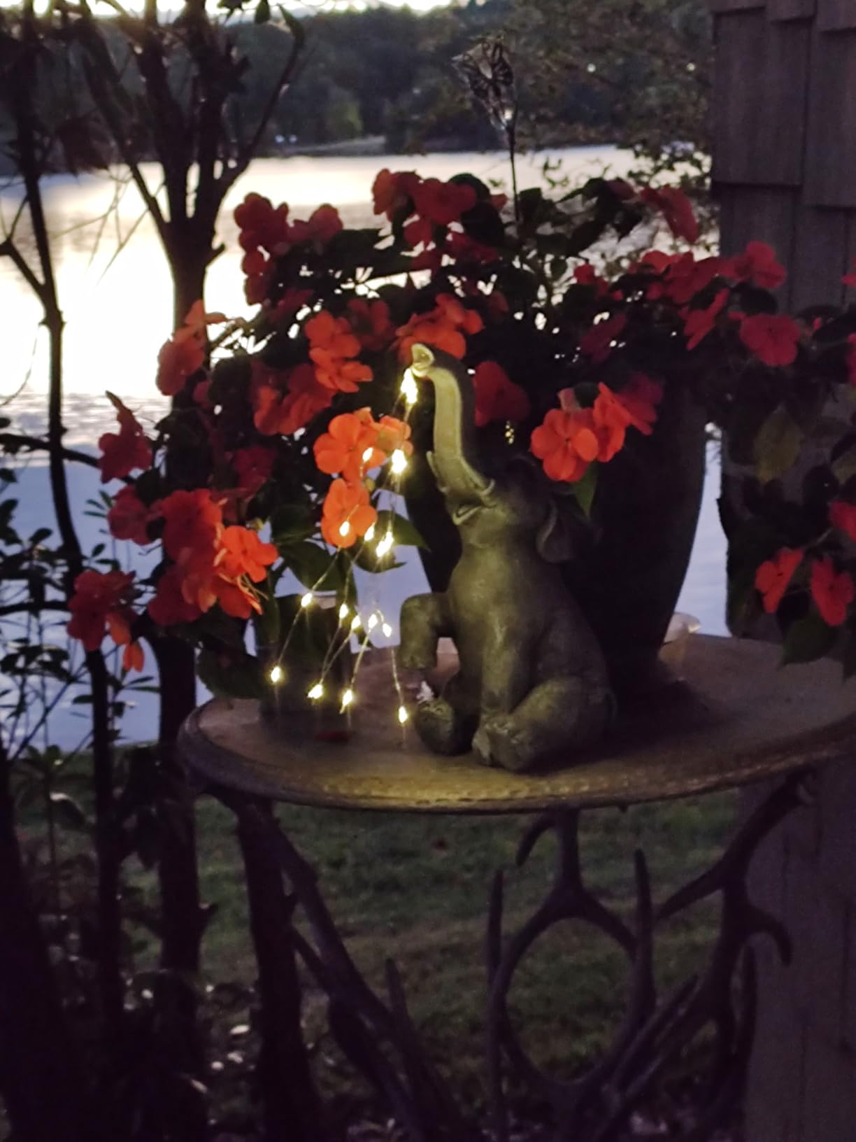 GIGALUMI Solar Garden Decor Watering Elephant Statues Outdoor, Birthday Gifts for Women Mom Grandma Senior Elder, Elephant Ornament for Balcony, Garden, Patio, Yard, Lawn (Constant Lights Only) - Customer Photo 3