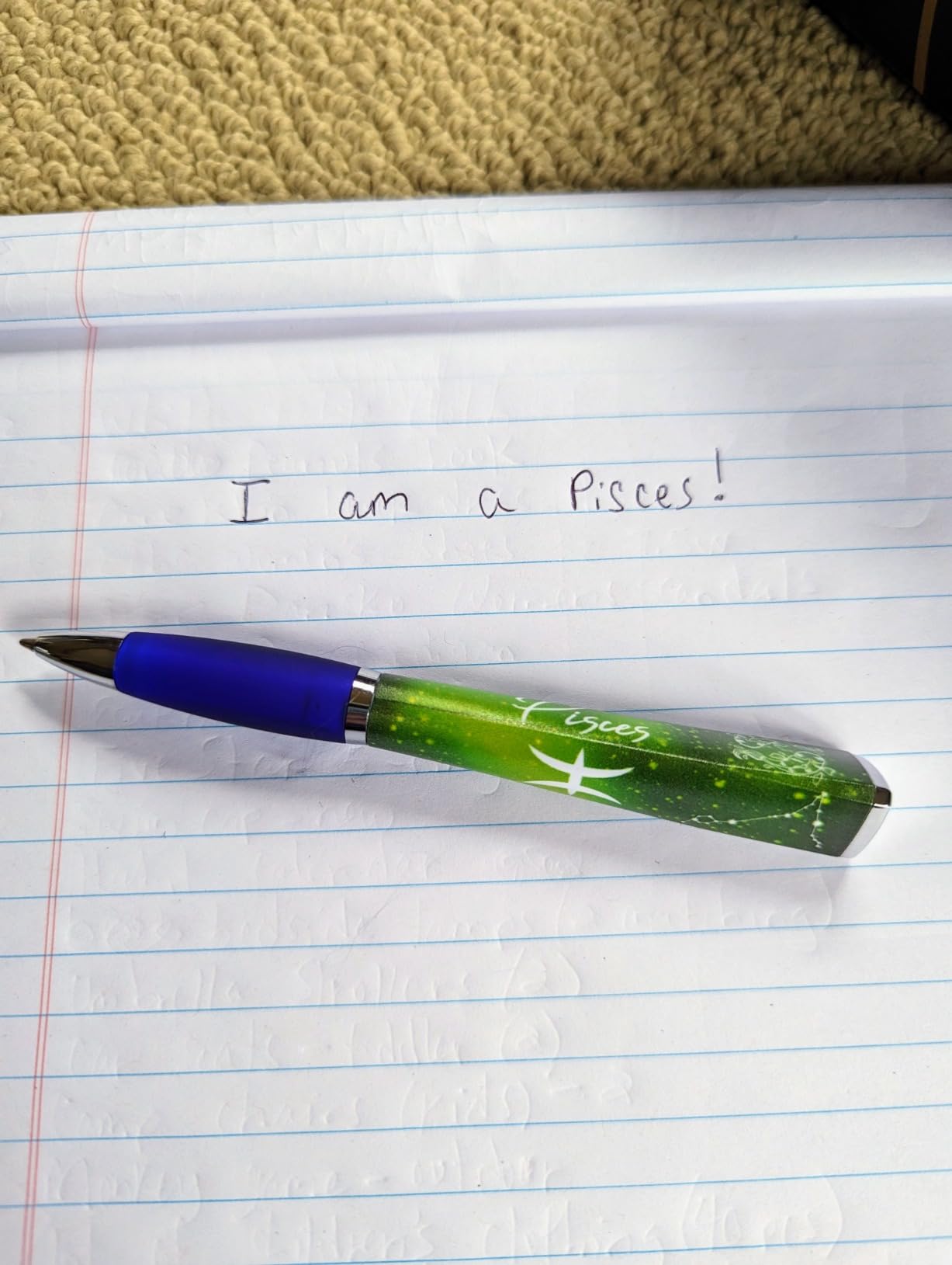 ANINKABOVE Capricorn Zodiac Sign Ballpoint Pens (3-Sided Pen in acrylic case) Zodiac Pen Gift, Cool Constellation Design, Zodiac Gifts Pretty - Fancy Pens Great Astrology Gifts for Women and Men - Customer Photo 3