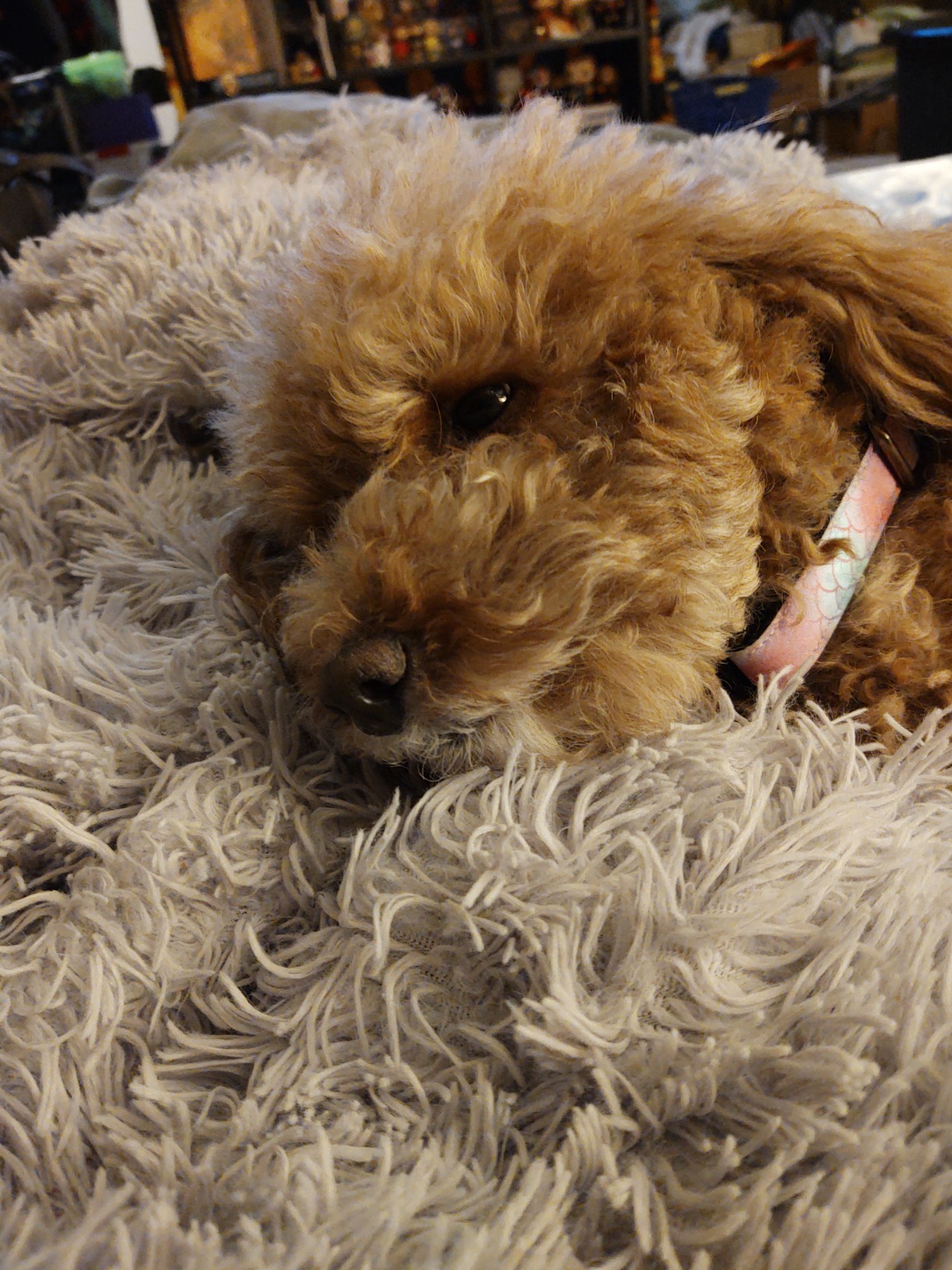 IRISGOD I'd Rather Be Funny Dress Socks for Men and Women Humor Joke Gifts - Customer Photo 2