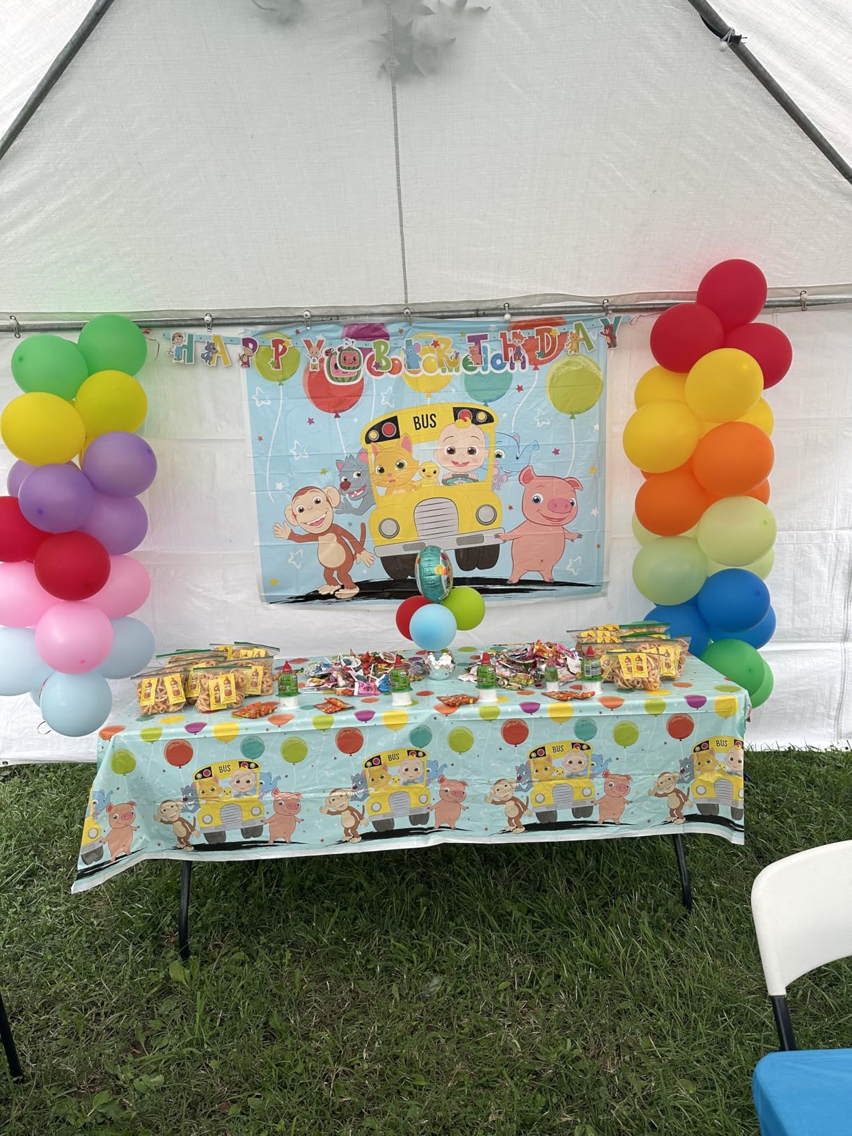 Cocomelon Balloons - Cocomelon Birthday Decorations - Bundle with 8 Latex and 1 Foil Balloons, Checklist - Party Supplies for 1st or 2nd Birthday - Customer Photo 1