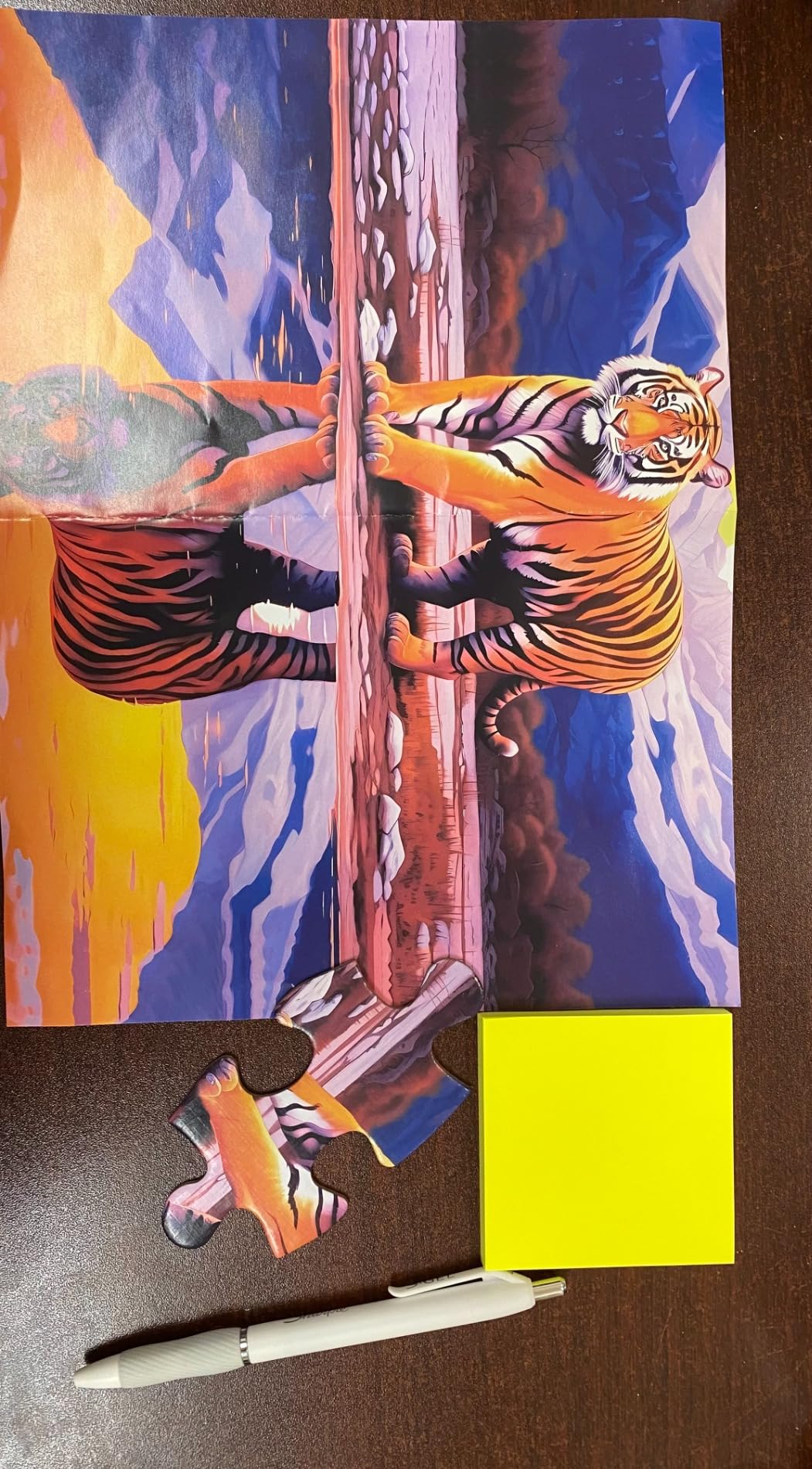 6 Pack 16 Large Piece Puzzles for Seniors Puzzles Dementia Alzheimer's Products and Activities Alzheimer's Puzzle Elderly Adults Cognitive Game Gift for Patients in Nursing Home with 6 Storage Bags - Customer Photo 1