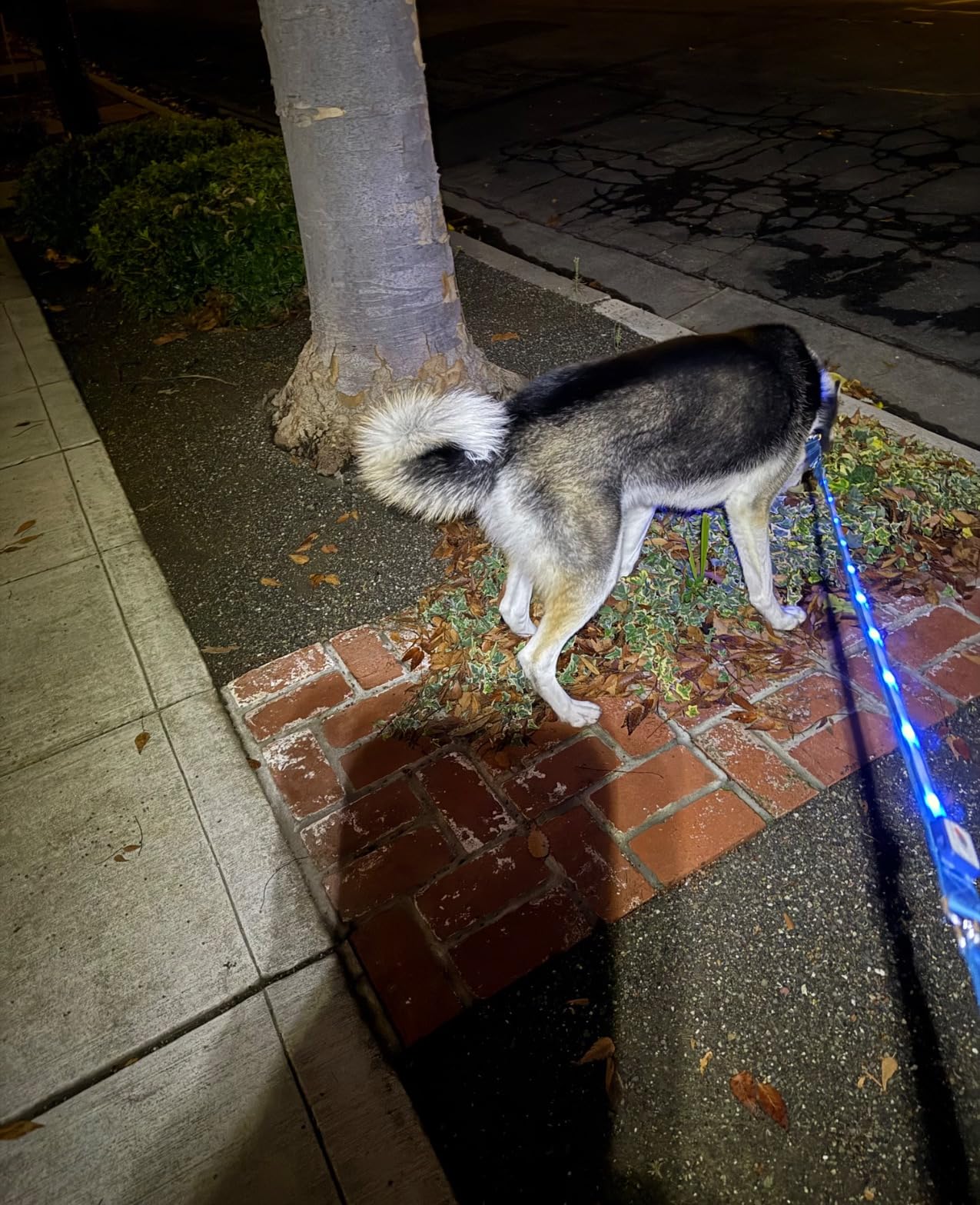 Unisex LED Mens Beanie Hat with Light, USB Rechargeable Headlamp, Valentines Day Gifts for Him Boyfriend Husband Women - Customer Photo 2