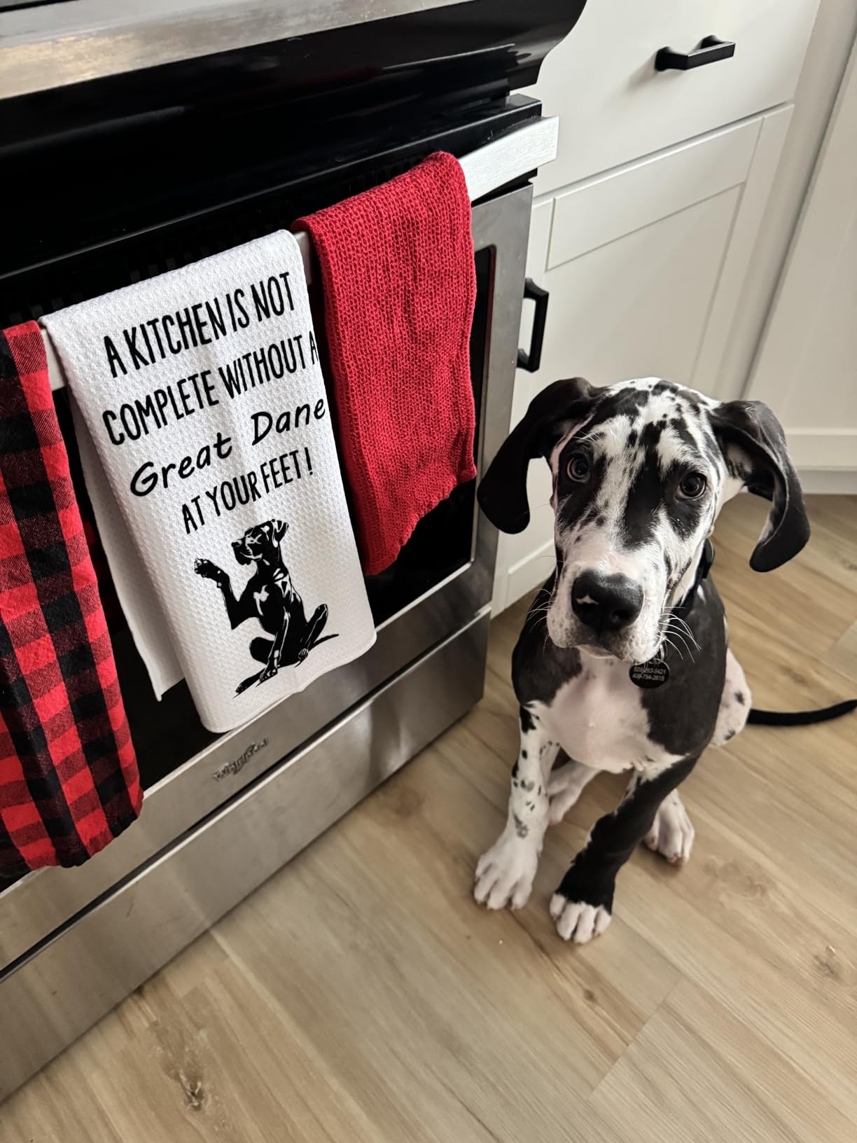 Funny Corgi Dish Towels - Corgi Decorative Waffle Weave Kitchen Towels, Corgi Hand Towel, Corgi Tea Towel, Corgi Gifts, Corgi Gifts for Corgi Lovers (16×24 Inches) - Customer Photo 1