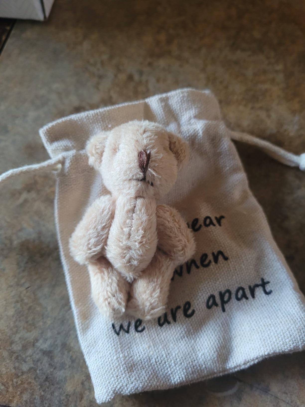 LUOKIFUR Pocket Bear Gifts for Travelers, Overseas Travel, Adventure, Good Luck Gifts,Thoughtful Souvenirs (Travels) - Customer Photo 1
