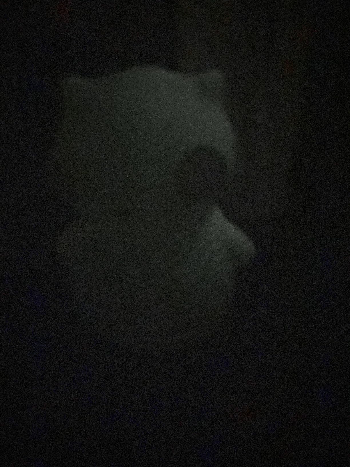 Bobs Burgers Kuchi Kopi Glow in The Dark 6'' Vinyl Figure - Customer Photo 0