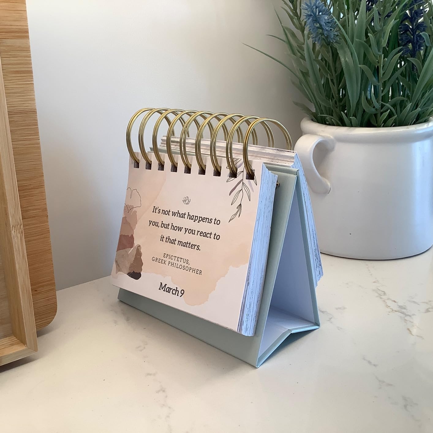 MESMOS 366 Daily Mindfulness Perpetual Calendar, Office Gifts for Coworkers, Office Desk Decor Women, Cute Desk Accessories for Women, Inspirational Gifts for Women, Office Desk Decorations - Customer Photo 1