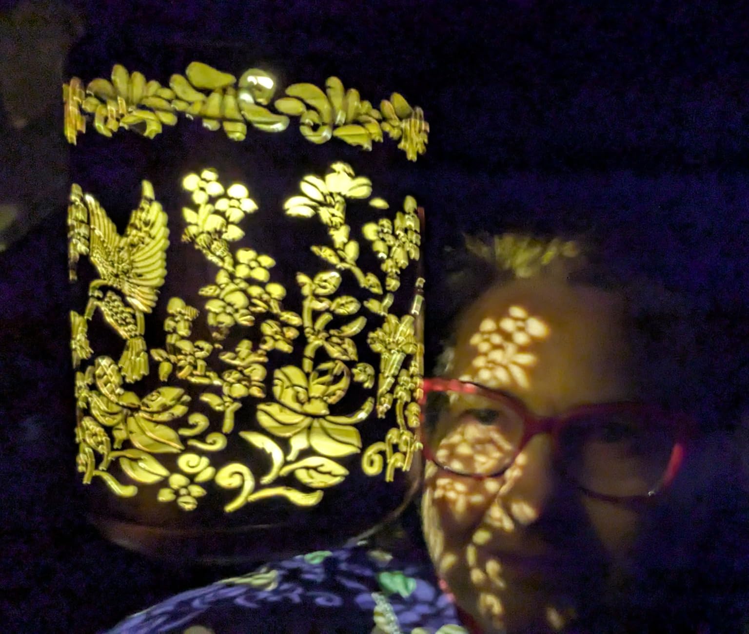 Solar Lanterns Outdoor Waterproof Hummingbird Garden Decor Gifts for Women Mom Grandma Hanging Solar Lights Metal Solar Decoration Outside for Yard, Patio, Backyard, Porch - Customer Photo 1