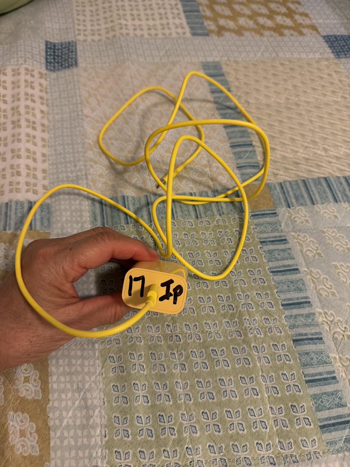 iPhone 17 16 15 Charegr Fast Charging Type C Chargers USB C Charger Block iPhone Air Chargers with 2 Pack 6FT Cable for iPhone 17/17 Plus/17 Pro Max/16/16 Plus/16 Pro Max/15 Pro Max/iPad Pro(Purple) - Customer Photo 3