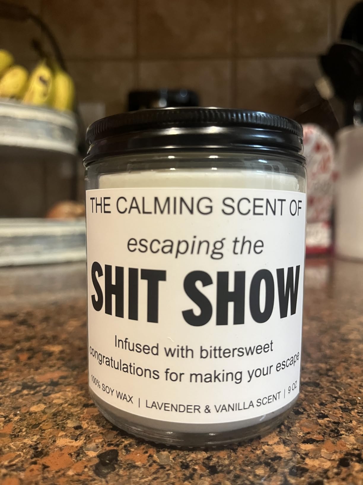 Sarcastic Candles, Going Away, Goodbye, Farewell Gifts for Coworkers - Retirement, Coworker Leaving Gifts for Women, Men - Leaving Job, Moving Away Presents for Friends, Boss, Work Bestie - Customer Photo 2