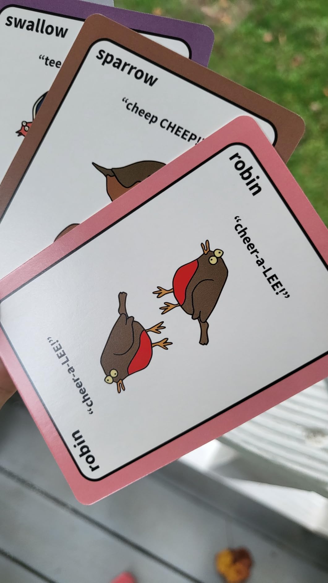 Bird Call - A Lively and Delightfully Absurd 5-Minute Party Game - High Energy Game - Bird Gifts - Bird Watching Gifts - Gifts For Bird Lovers - Funny Stocking Stuffer - 3-8 Players And Ages 7+ - Customer Photo 1