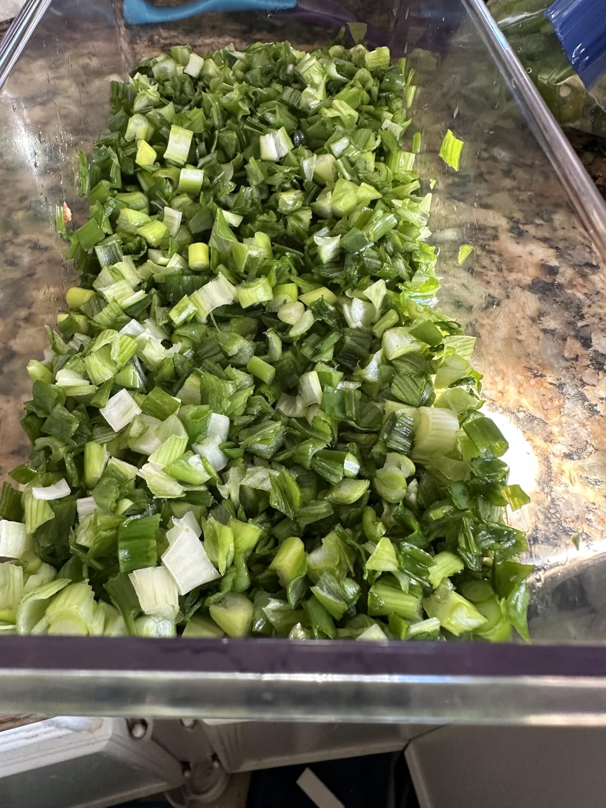 Mueller Pro-Series All-in-One, 12 Blade Mandoline Slicer for Kitchen, Food Chopper, Vegetable Slicer and Spiralizer, Cutter, Dicer, Grater, Kitchen Gadgets Sets with Container, White Sand/Pastel Green - Customer Photo 2