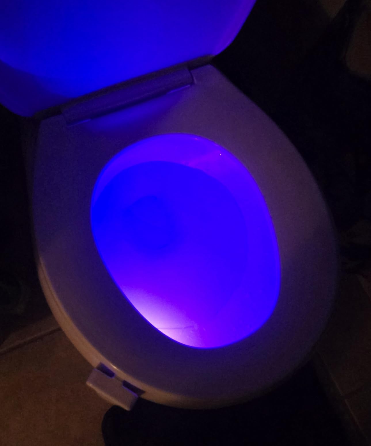 Mind-Glowing Toilet Light with Motion Sensor - Toilet Bowl Night Light (3 Pack) with 16 Color Changing LED, 5 Stage Dimmer - Cool Kids Bathroom Accessories - Funny Gag Gifts for House Warming - Customer Photo 1