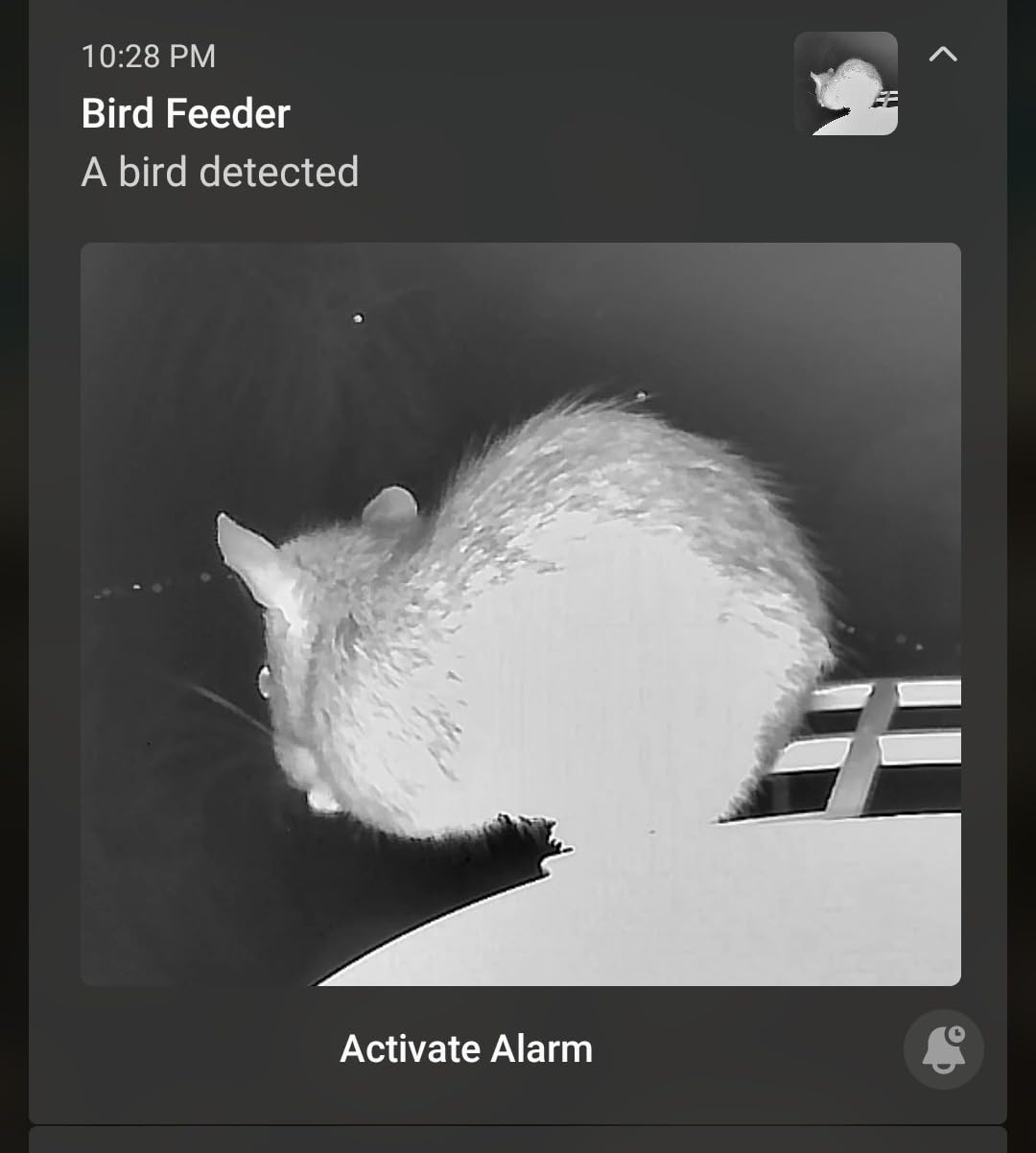 Bird Feeder with Camera,AI Identify Birds Species,Smart Bird Camera with Solar Powered,Auto Record FHD Birds Video in Backyard,Instant Notifications,Ideal Gift for Family and Bird Lovers,Navy Blue - Customer Photo 2