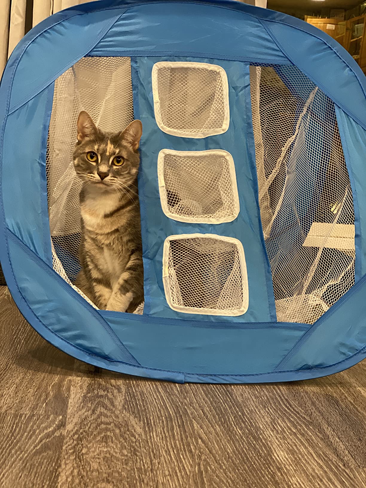 Pop-Up Golf Chipping Net - Ultimate Target Training Chip Aids for Precision & Distance, Outdoor | Indoor Practice, Golfer Gift - Customer Photo 1