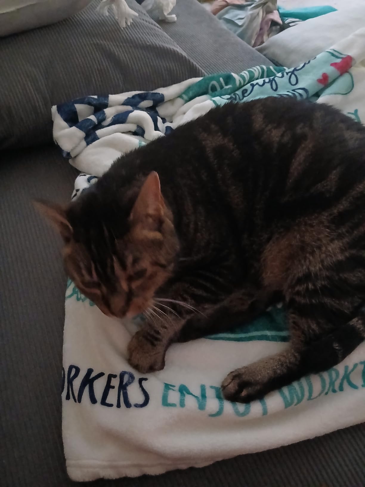 Craftique Nurse Gifts for Women Men- Soft Nurse Blanket with Daily Affirmations- Christmas LPN RN Gifts for Nurses Practitioner, Nursing School Graduate Birthday Appreciation Gift, Nurses Week/Day - Customer Photo 1