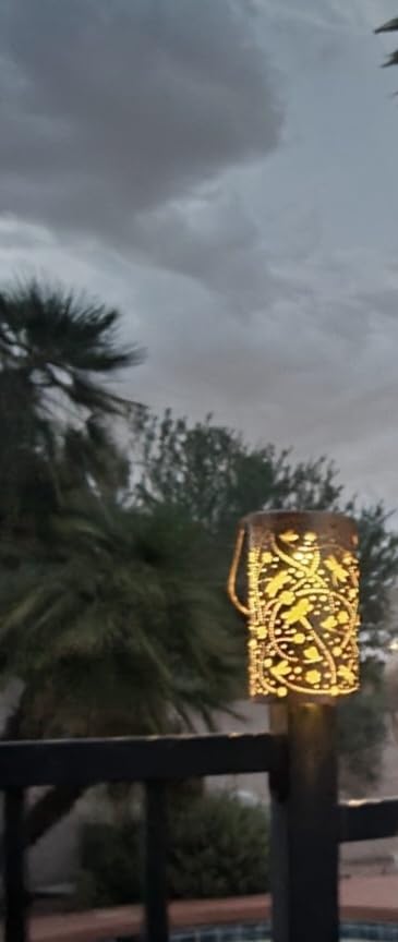 Bee Solar Lanterns Outdoor Waterproof Hanging Solar Lights Bee Gifts for Women Men Metal Decorative LED Bee Lanterns for Garden Decor,Yard,Patio,Lawn,Tabletop,Pathway,Landscape - Customer Photo 1