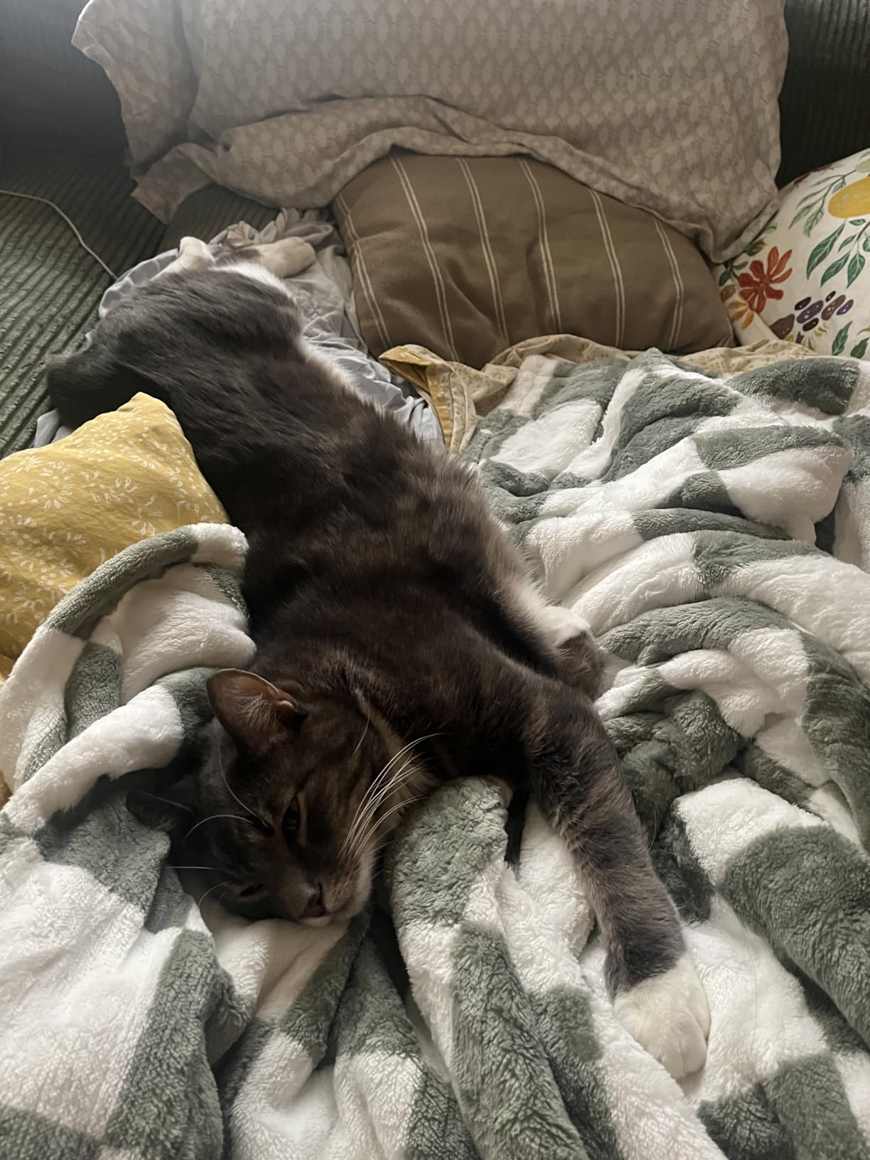 Heated Blanket Electric Throw 50X60, Heating Throw with 10 Levels 8 Hours Auto Off, Blue Plaid Sherpa Blanket Winter Warmer, Christmas Housewarming Gifts for Women Mom, Home Decor for Couch Bed Office - Customer Photo 1