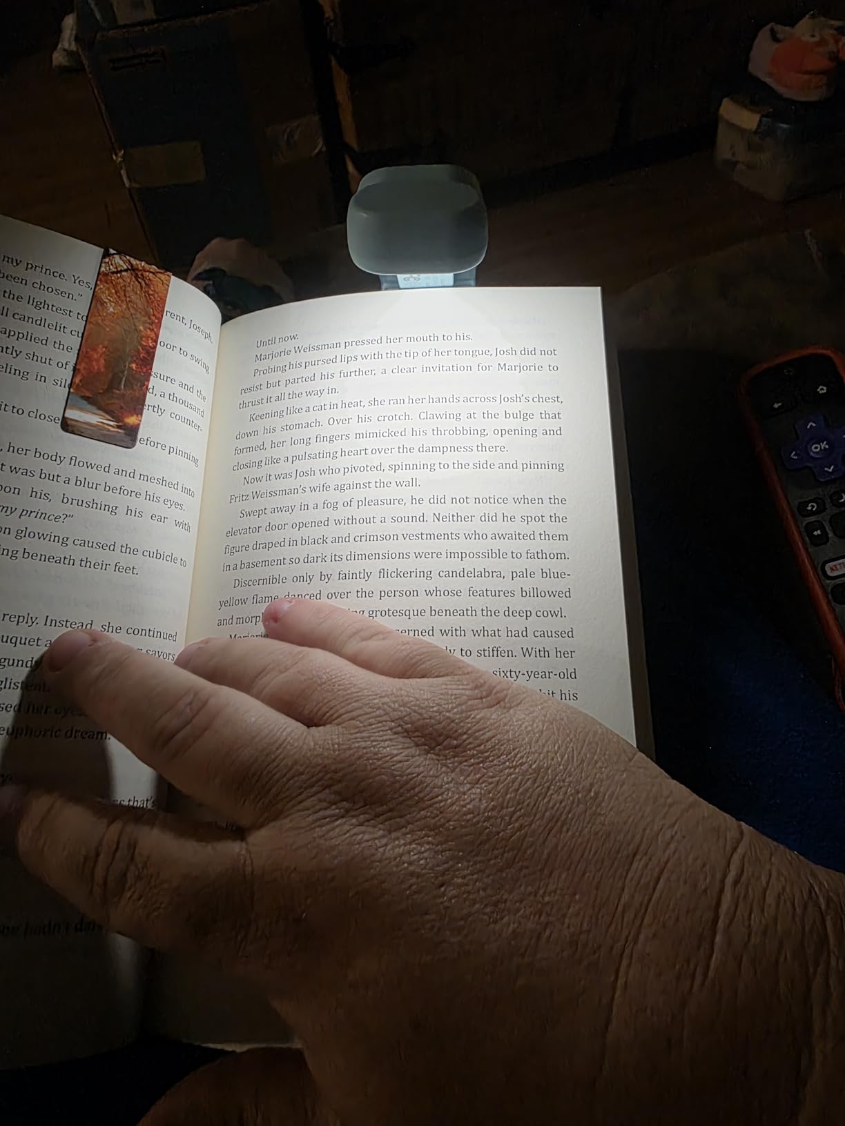 Gritin Reading Light, Rechargeable Book Light for Reading in Bed - Eye Caring 3 Color Temperatures, 5-Level Dimmable Brightness, Long Lasting, Compact Size Clip on Book Lamp for Bookworms-Blue - Customer Photo 1