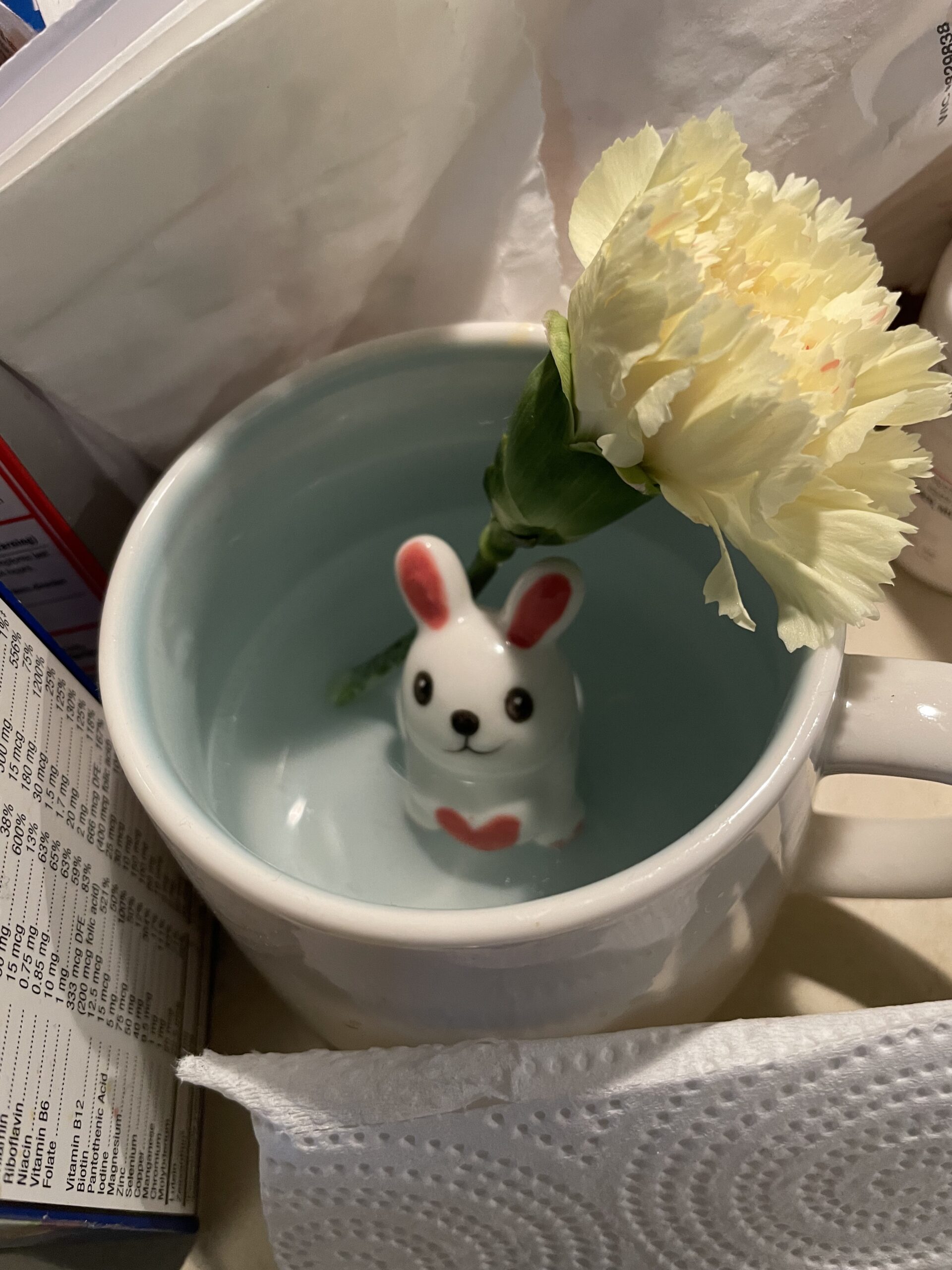 Shark Ceramic Mug Hidden 3D Animal Inside Cup,Handmade Animal Figurine Teacup,Christmas,Birthday,Mother's Day Gifts for Friends Family or Kids(Blue Shark) Customer Review Shark Ceramic Mug Hidden 3D Animal Inside Cup,Handmade Animal Figurine Teacup,Christmas,Birthday,Mother's Day Gifts for Friends Family or Kids(Blue Shark) - Customer Photo 1