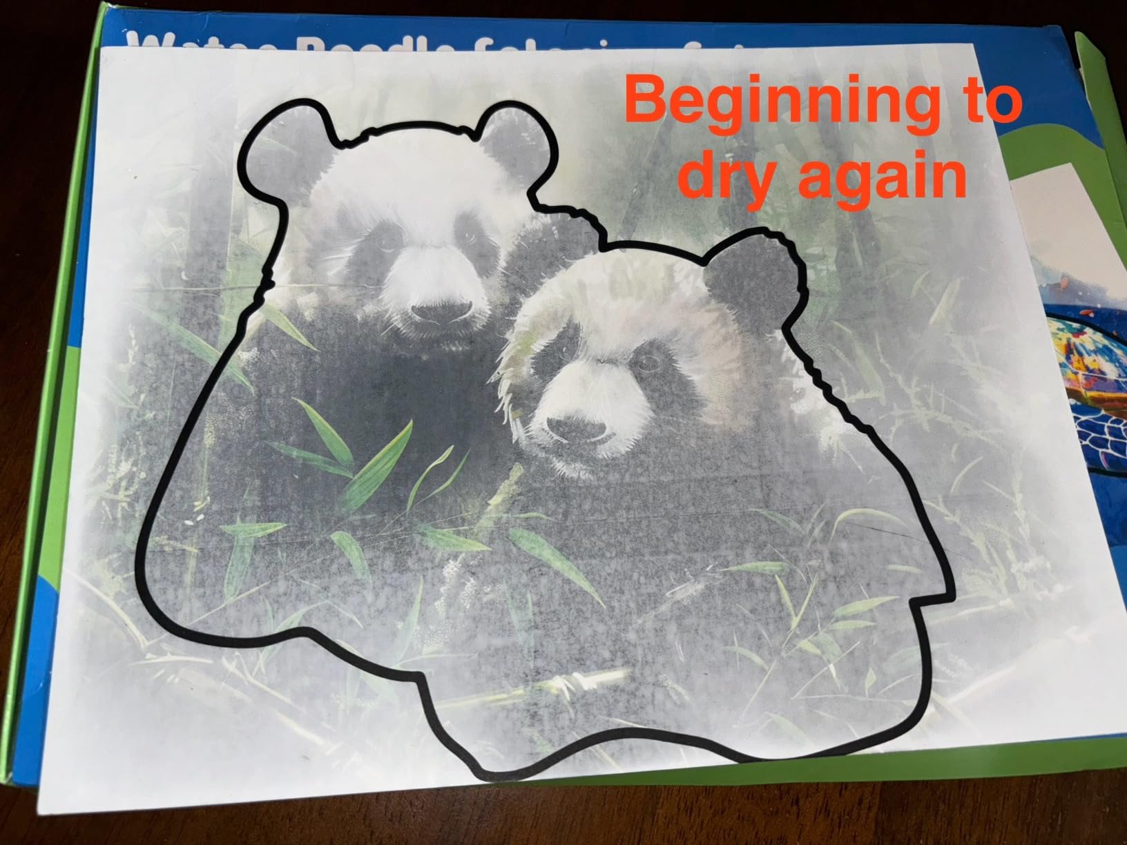 25 Pack Dementia Products for Elderly Reusable Water Doodle Coloring Set for Seniors Dementia Activities Animals Water Painting Toys for Alzheimer's Painting Gifts for Nursing Home Patients Customer Review 25 Pack Dementia Products for Elderly Reusable Water Doodle Coloring Set for Seniors Dementia Activities Animals Water Painting Toys for Alzheimer's Painting Gifts for Nursing Home Patients - Customer Photo 2