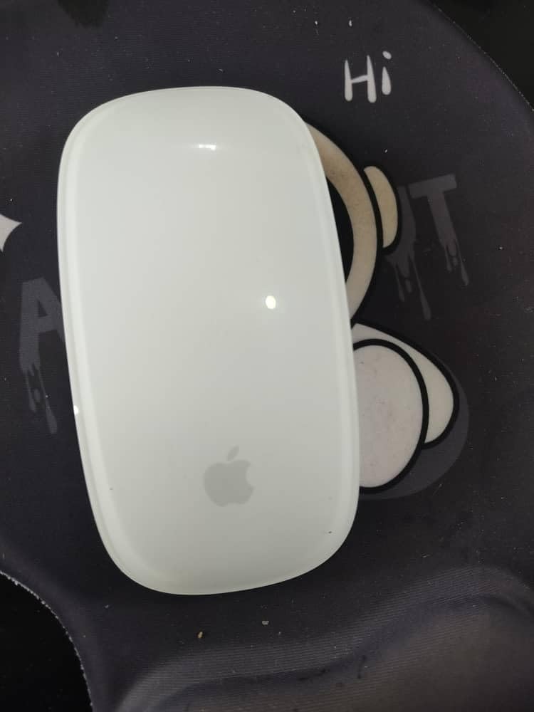 Apple Magic Mouse - White Multi-Touch Surface Customer Review Apple Magic Mouse - White Multi-Touch Surface - Customer Photo 1