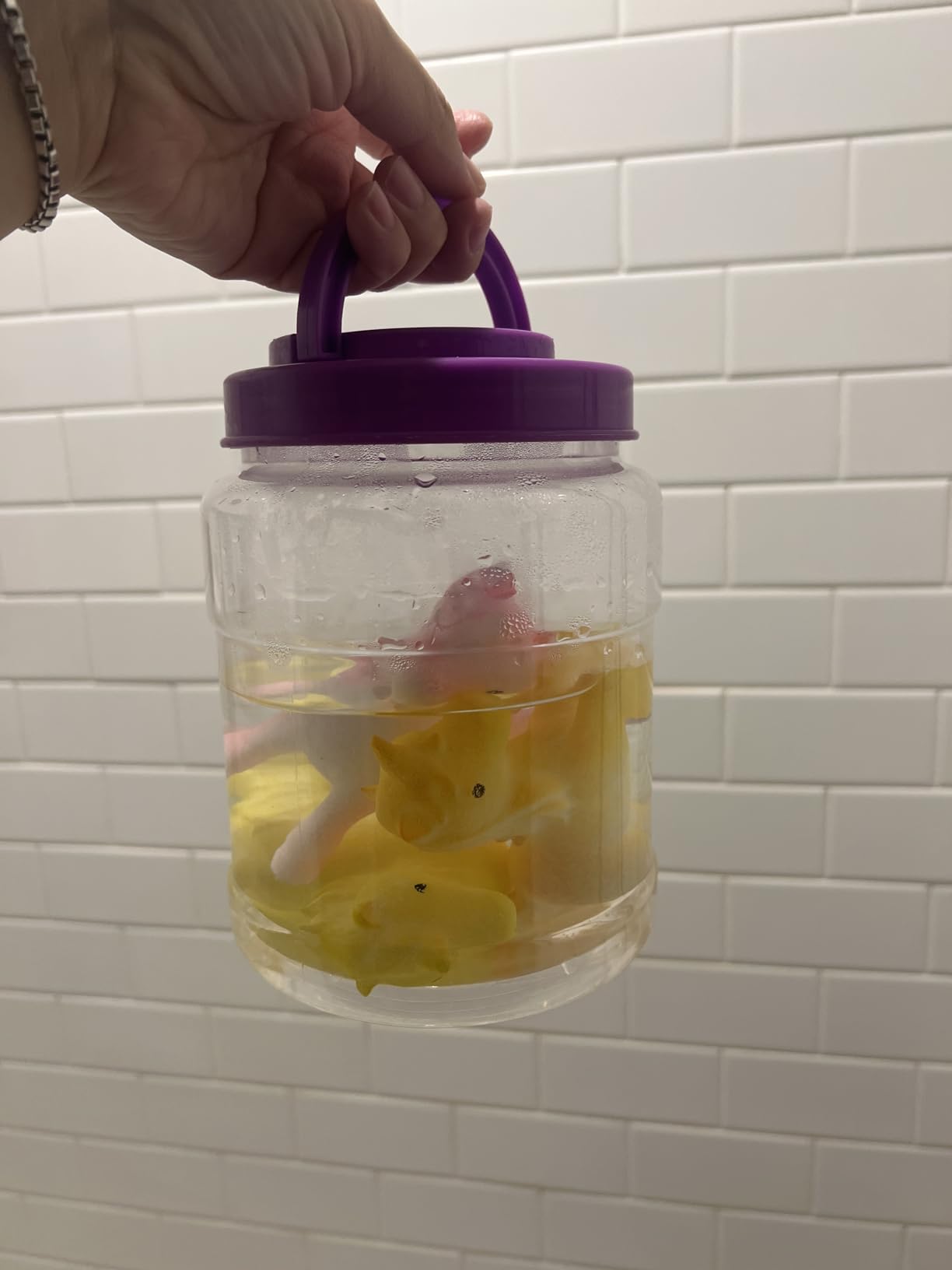 Unicorn Hatching Rainbow Eggs for Kids - 6 Pack Unicorn Toys for Boys & Girls, Birthday Easter Basket Stuffers Gift Ideas for Kids 3+ Year Old - Girl Gifts for Ages 3 4 5 6 7 8 Customer Review Unicorn Hatching Rainbow Eggs for Kids - 6 Pack Unicorn Toys for Boys & Girls, Birthday Easter Basket Stuffers Gift Ideas for Kids 3+ Year Old - Girl Gifts for Ages 3 4 5 6 7 8 - Customer Photo 2