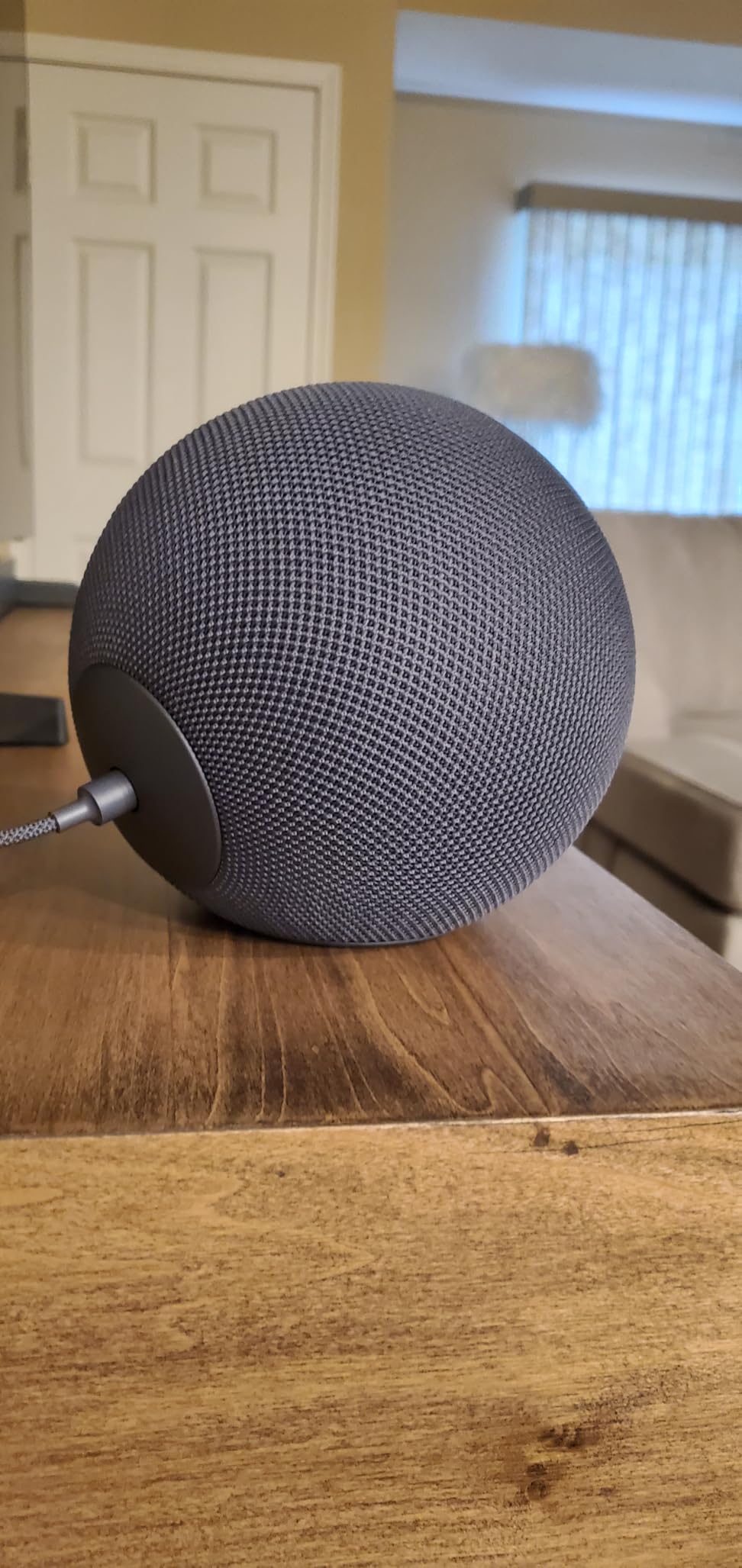 Amazon Echo Studio (newest model), compact design, immersive spatial audio and Dolby Atmos, with Alexa+ Early Access, Graphite - Customer Photo 1