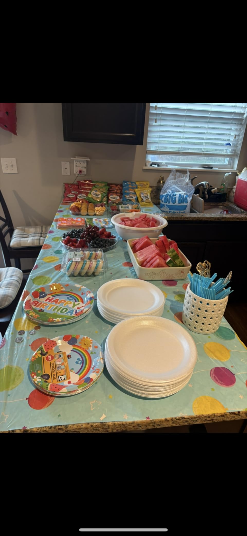 120PCS Cartoon Melon Birthday Party Supplies for Boys and Girls 1st 2rd Birthday Party School Bus Rainbow Watermelon Tableware Set Napkin Cups Forks Knives for 20 Guests - Customer Photo 1