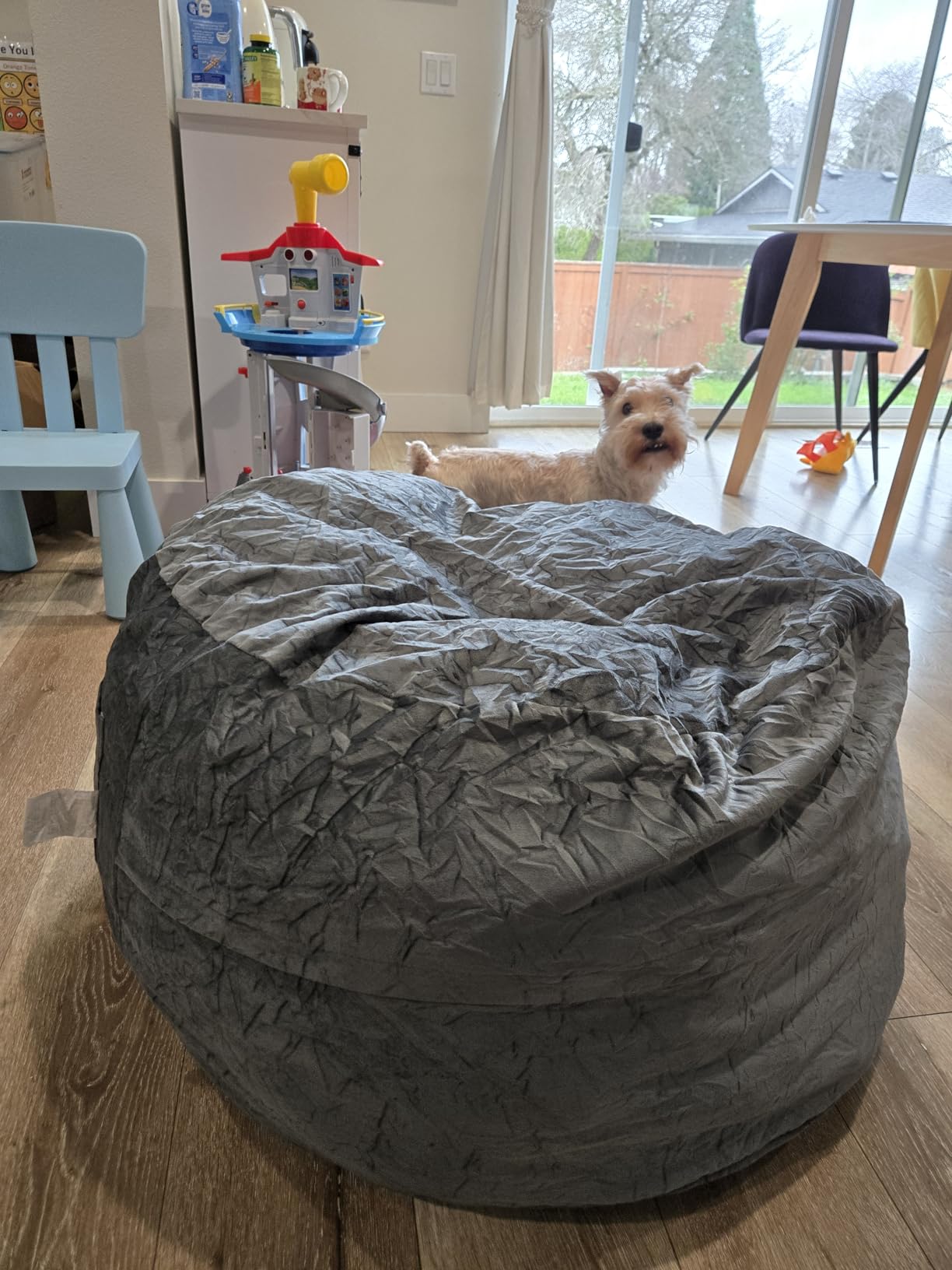 Bean Bag Chairs for Adults - Giant Bean Bag Chair Convertible Bean Bag Bed - Beanbag Chair with Micro Fiber Cover/Furniture Foam Filler - Floor Couch Sofa in Bedroom Dorm Room - Full Charcoal - Customer Photo 2