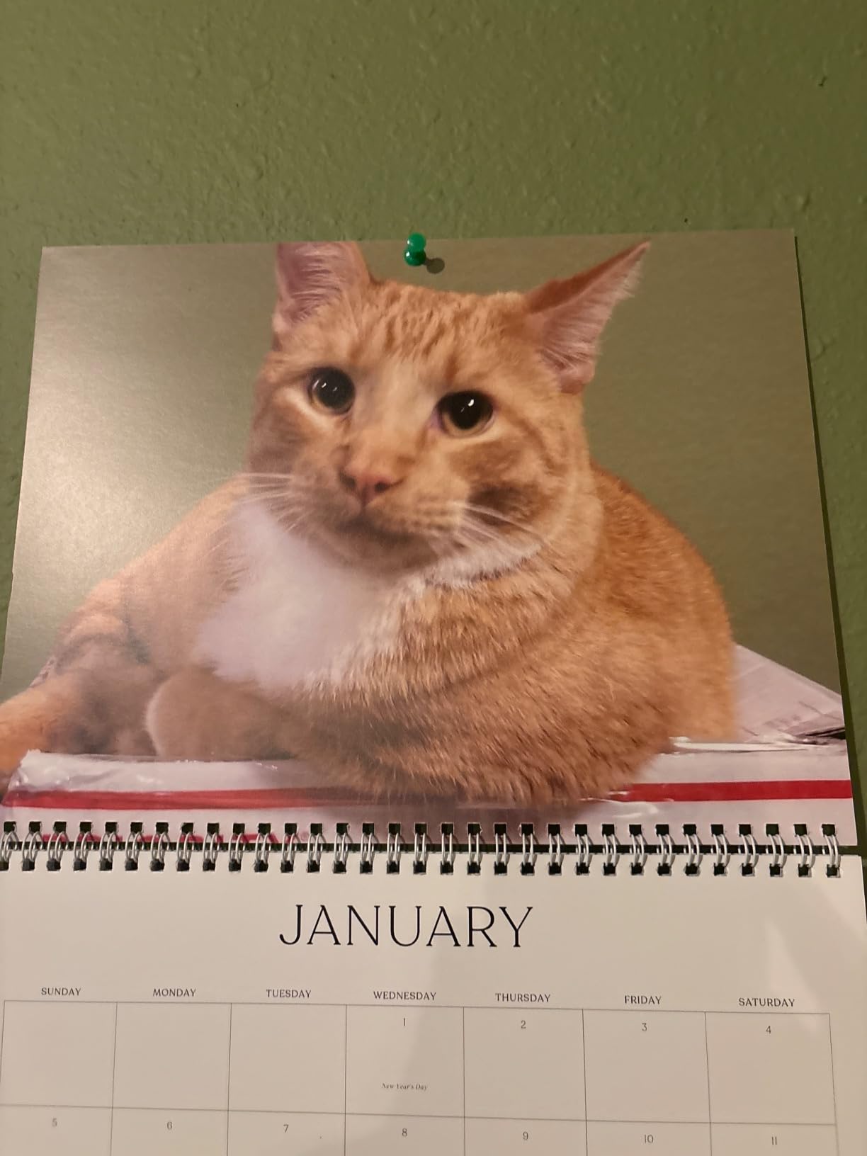 Let's Make Memories Personalized Photo Calendar - Custom 2026 Calendar - 8.5