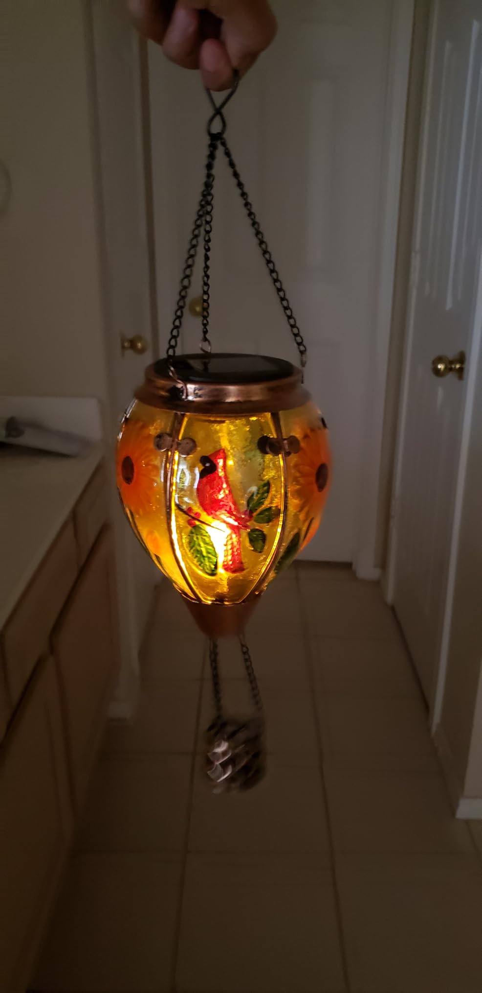 Hummingbird Solar Hot Air Balloon Lantern,Outdoor Decor with Flame Lights Waterproof, Hanging for Garden Yard Lawn Patio, Unique Gifts for Women Mom Grandma Gardener for Mother'Day Christmas - Customer Photo 1