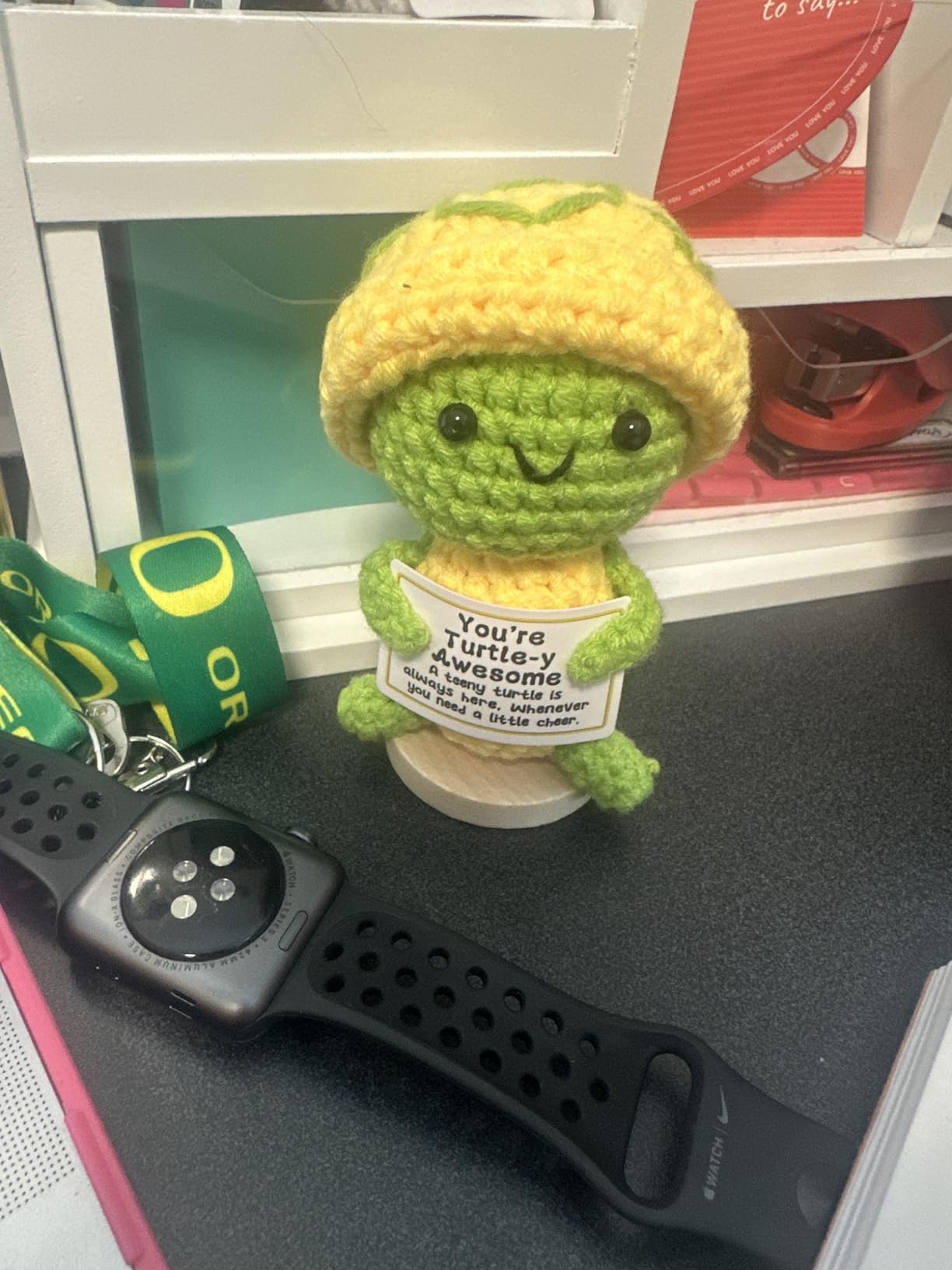 Gossby Positive Turtle Crochet - Inspirational Gift for Women - You're Turtle-Y Awesome - Christmas, Birthday, Appreciation Thank You Gift for Coworker, Sister, Friend, Teacher - Customer Photo 1