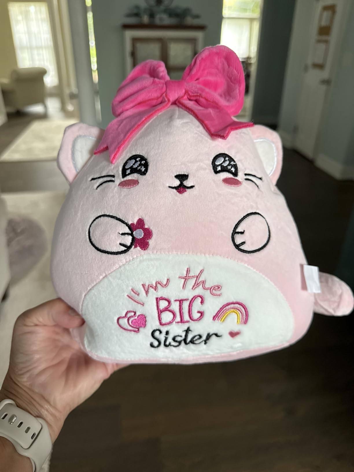NIUBEHOHO Big Sister Plush Cat Stuffed - I'm The Big Sister Bear Pink Cat Stuffed Animal with Bow New Sibling Gifts for Girls Kids 10 Inch - Customer Photo 1