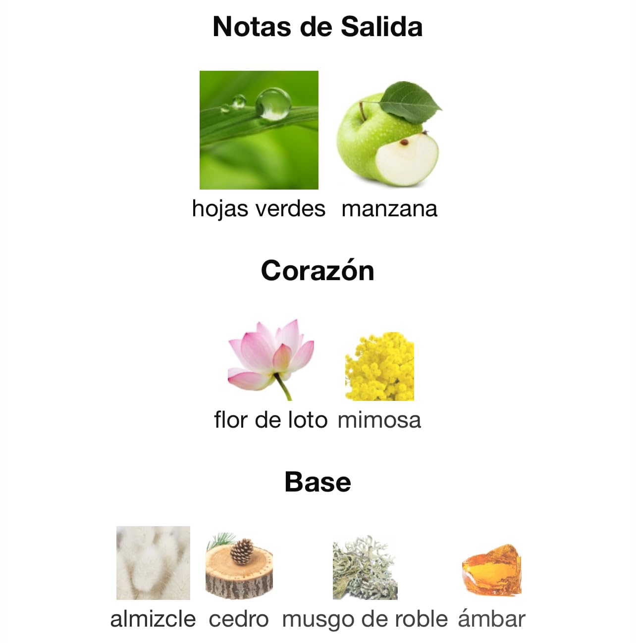 Nautica Voyage Giftset, 1.6 fl oz EDT + 6 oz Deodorizing Body Spray, Notes of Apple, Cedarwood, Mimosa, Men's Fragrance, Long Lasting, Everyday Fragrance - Customer Photo 1