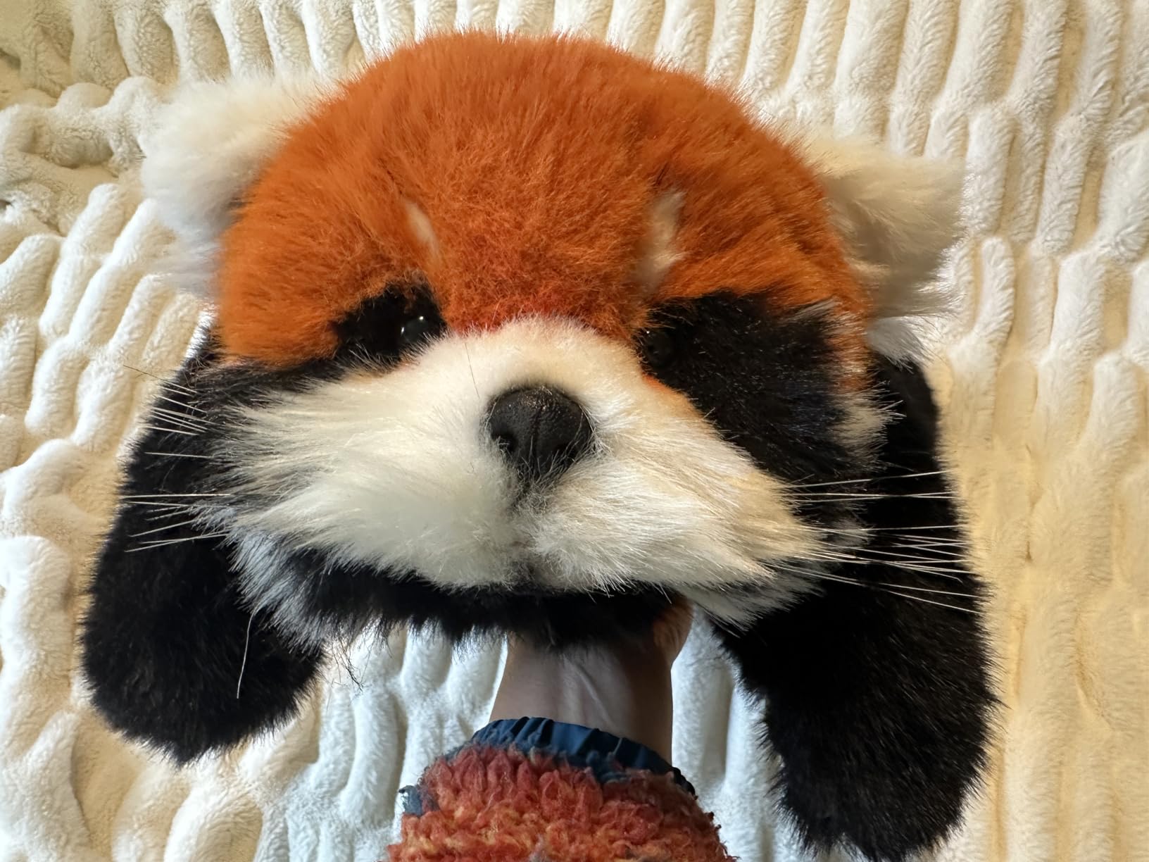 Chongker Breathing Stuffed Animal, Soothing Red Panda Plush Stuffed Animals with Rhythmic Motion, Interactive Companion Plush Toy Customer Review Chongker Breathing Stuffed Animal, Soothing Red Panda Plush Stuffed Animals with Rhythmic Motion, Interactive Companion Plush Toy - Customer Photo 3