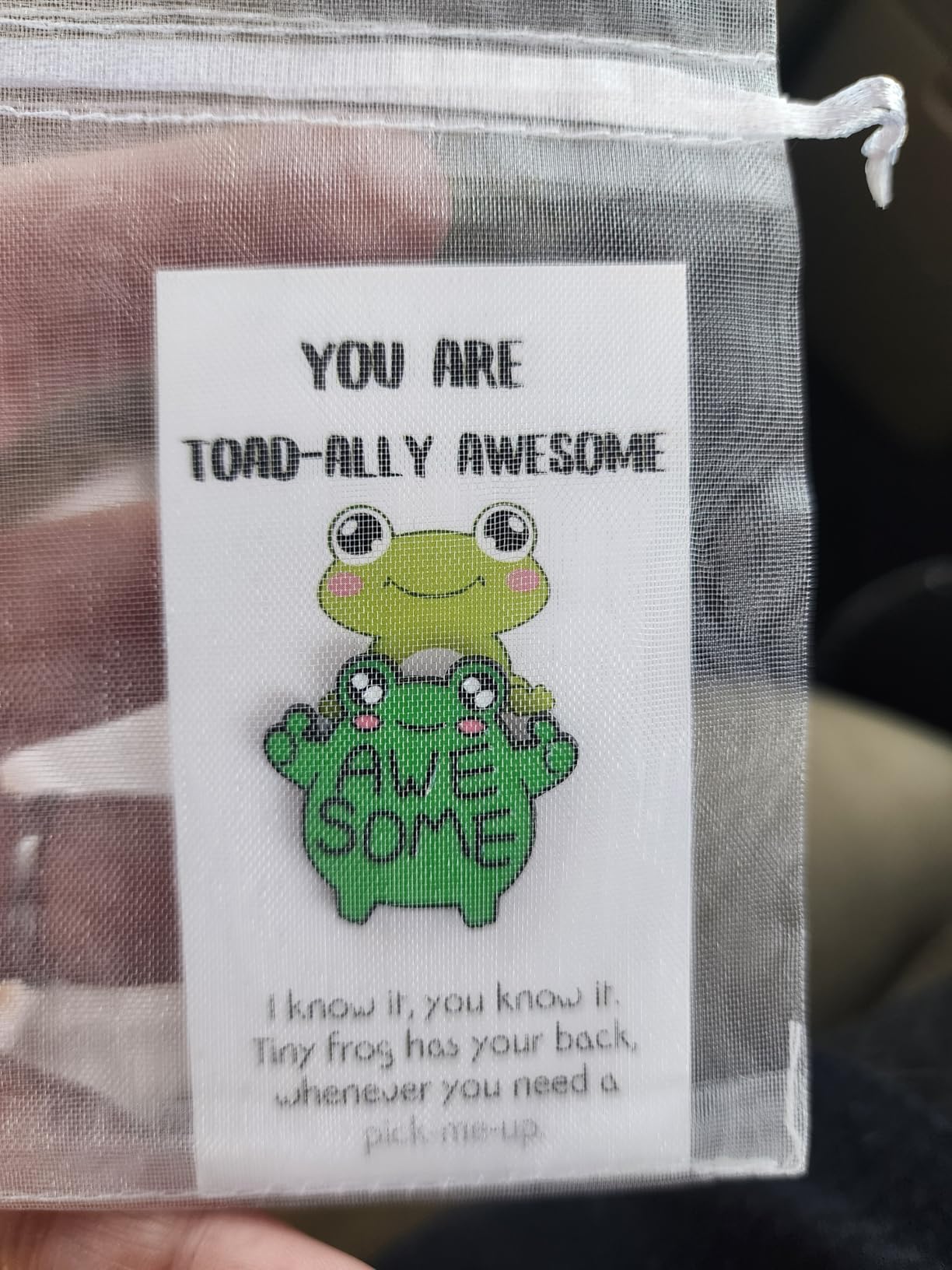 SOWPOPY 25/50/100 Sets Employee Appreciation Gifts Bulk Small Staff Thank You Gift with Inspirational Cards, Cute Animal Lapel Pins Team Appreciation Ideas for Office Coworkers, Teachers, Students - Customer Photo 1