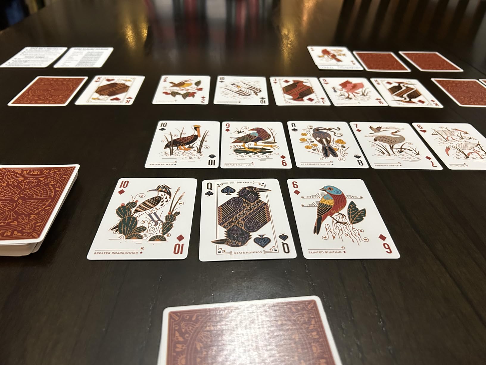 Underdog Games Bird in The Hand Themed Playing Cards | 54 Pieces of Stunning Custom Art | Unique Bird on Every Card in The Deck - Customer Photo 1