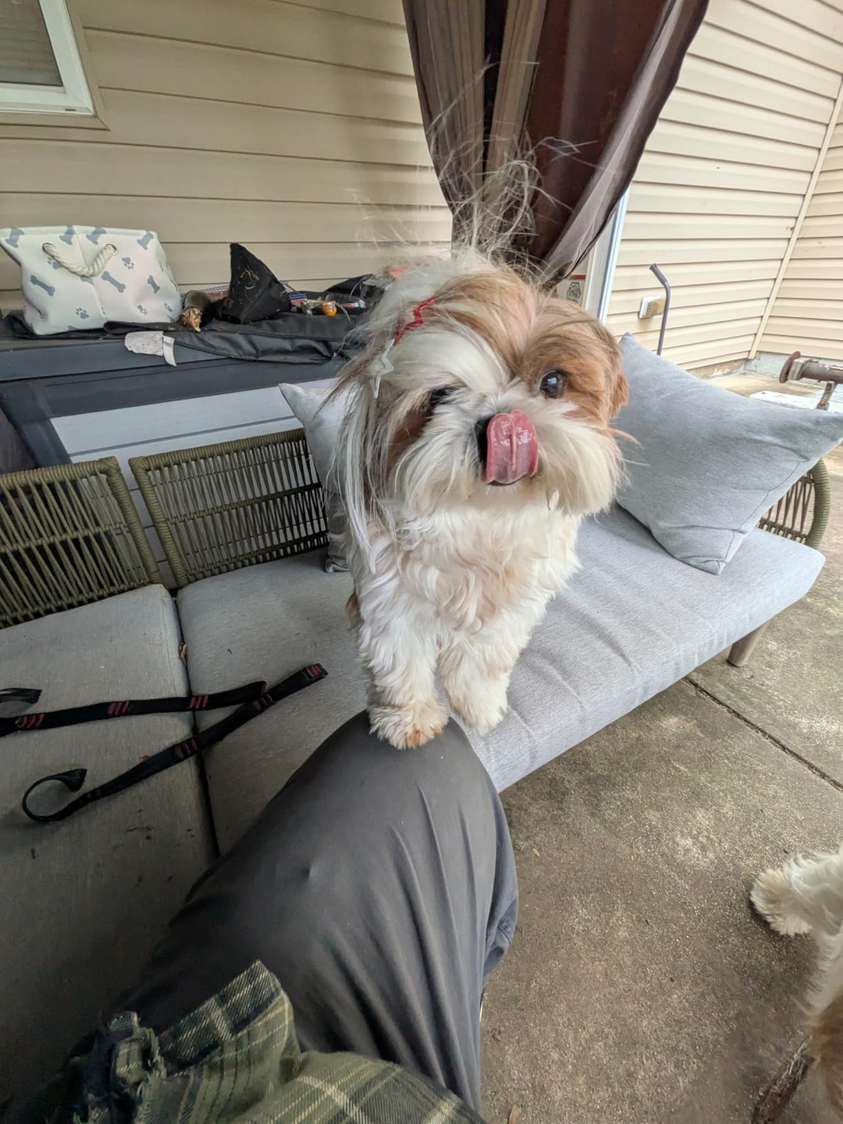 Google Pixel 10 - Unlocked Android Smartphone - Gemini AI Assistant, Advanced Triple Rear Camera, Fast-Charging 24+ Hour Battery, and 6.3