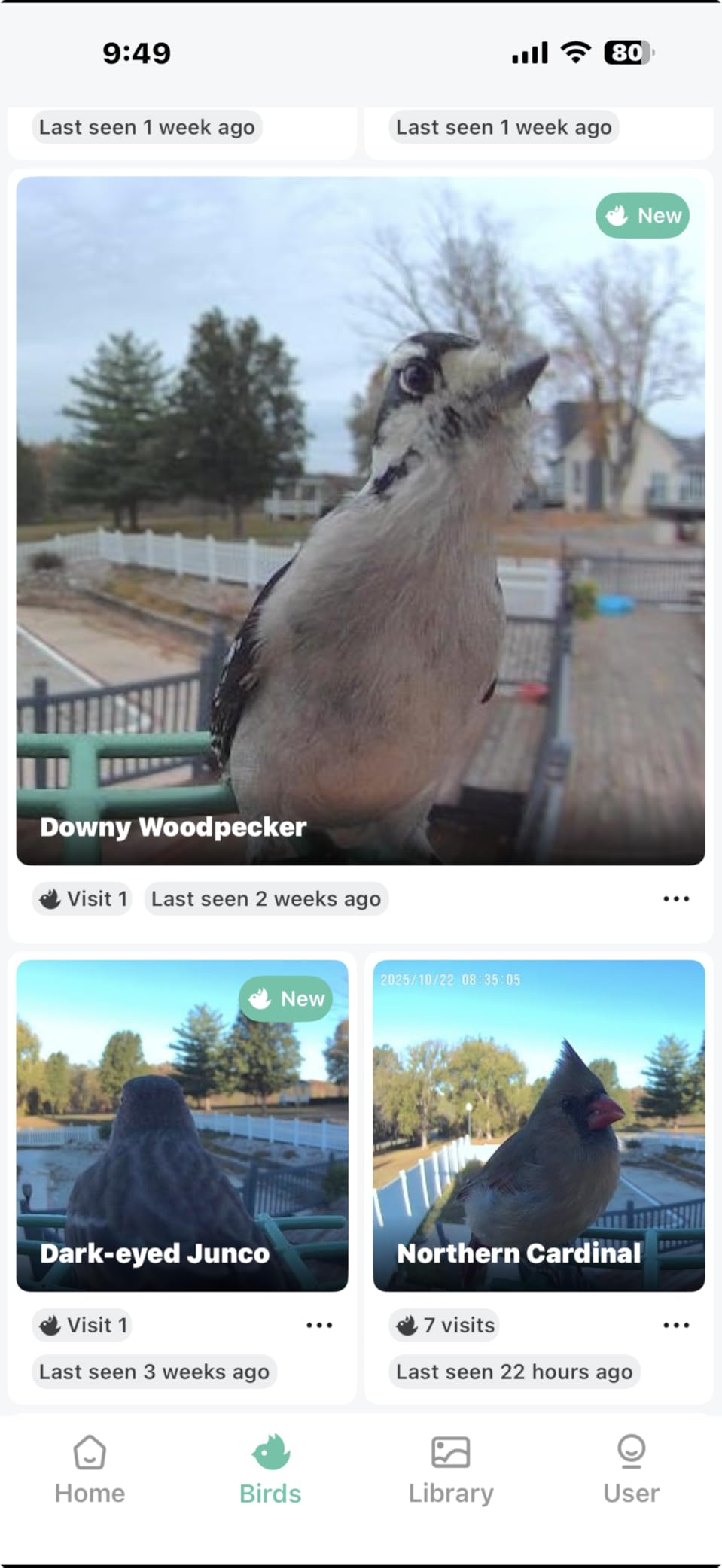 Smart Bird Feeder with Camera with AI Identify Birds Species & Solar Panel, WiFi Birdfeeder with Cam, 2K Live View, Chew-Proof & Waterproof Design, Real-Time App Alerts, Gift for Bird Lovers, Green - Customer Photo 1