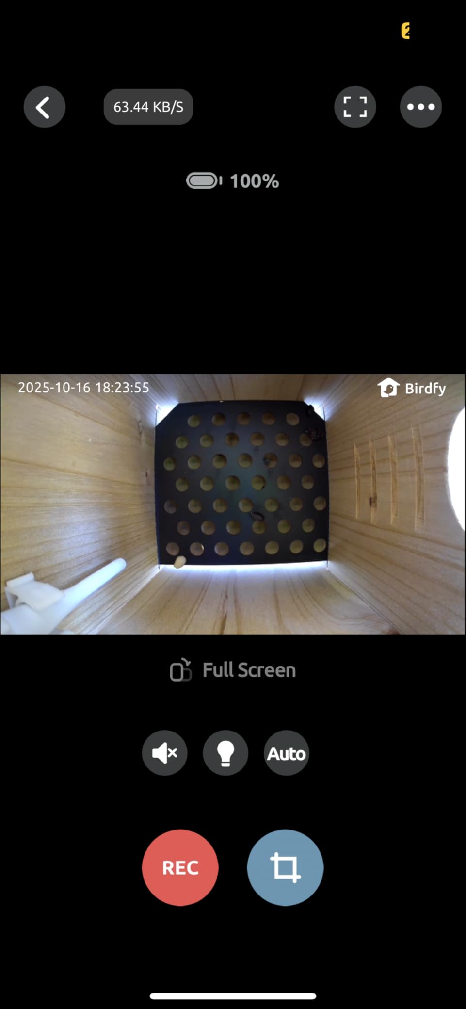 Birdfy Smart Bird House with Camera Solar Powered, 1080HD Live Video & Night Vision for 24/7 Nesting Recording, Auto Detect & Notify, Ideal Nature Gift for Bird Lovers, AI Identify Lifetime Free Customer Review Birdfy Smart Bird House with Camera Solar Powered, 1080HD Live Video & Night Vision for 24/7 Nesting Recording, Auto Detect & Notify, Ideal Nature Gift for Bird Lovers, AI Identify Lifetime Free - Customer Photo 1